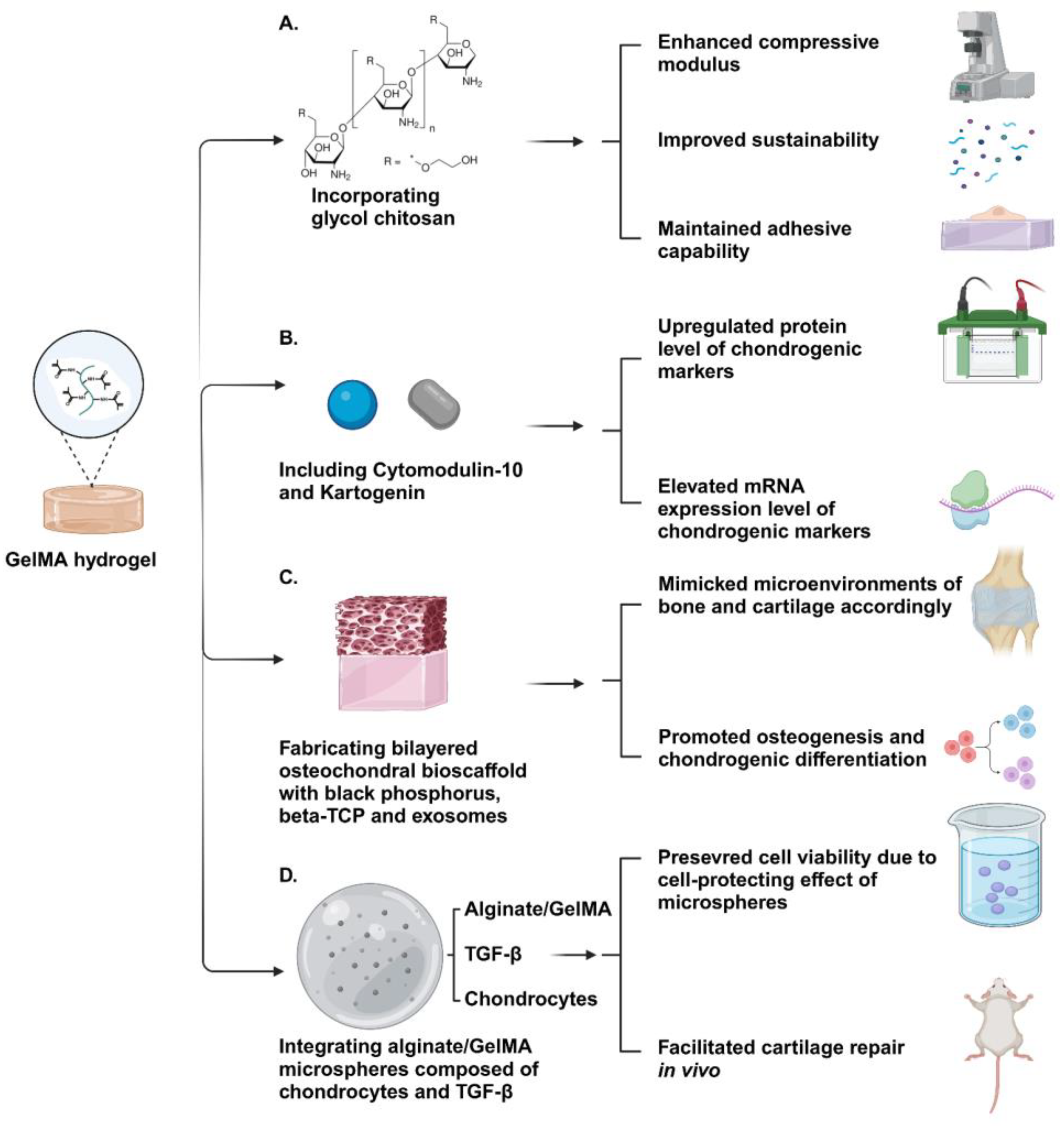 Gels 10 00430 g004 Gels 10 00430 g004