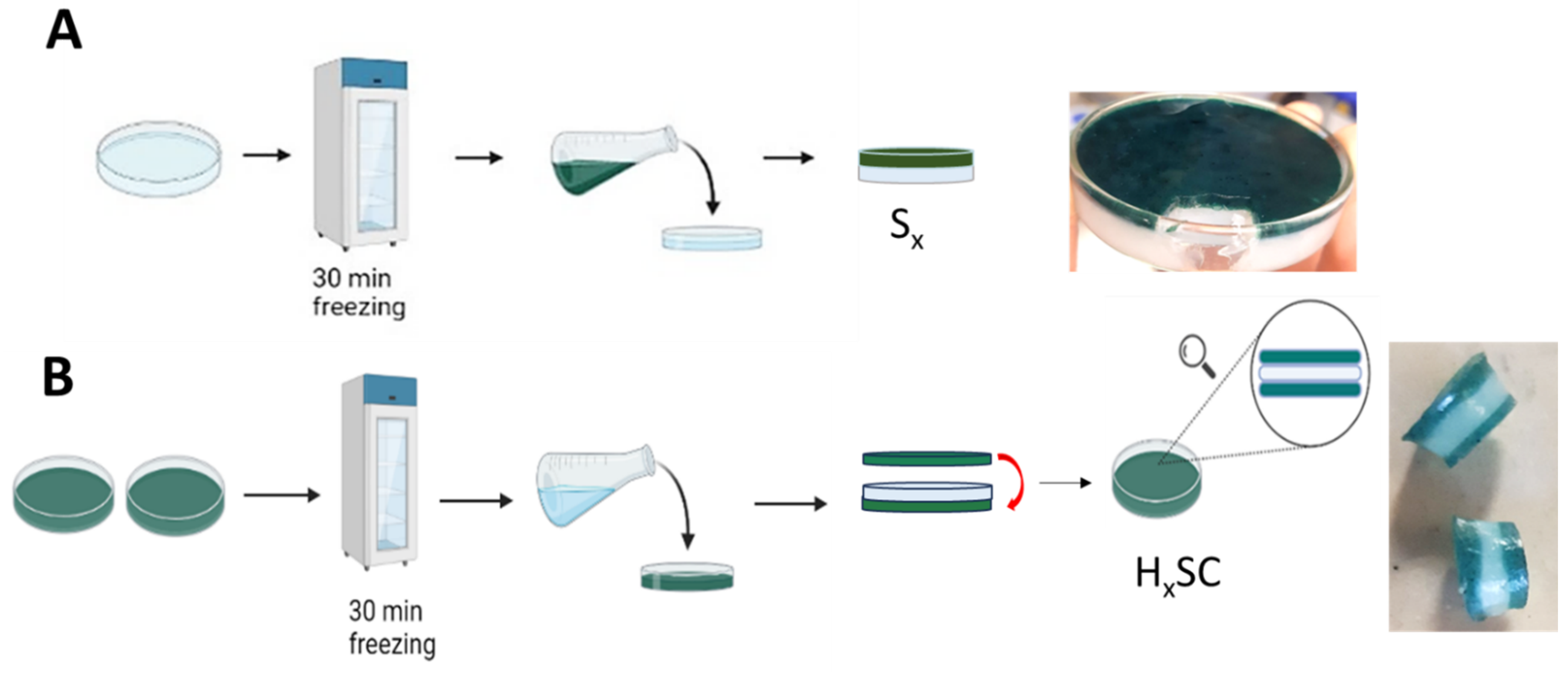 Gels 10 00458 sch002