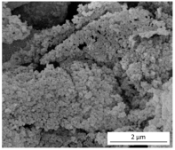 Gels 10 00465 i001 Gels 10 00465 i001