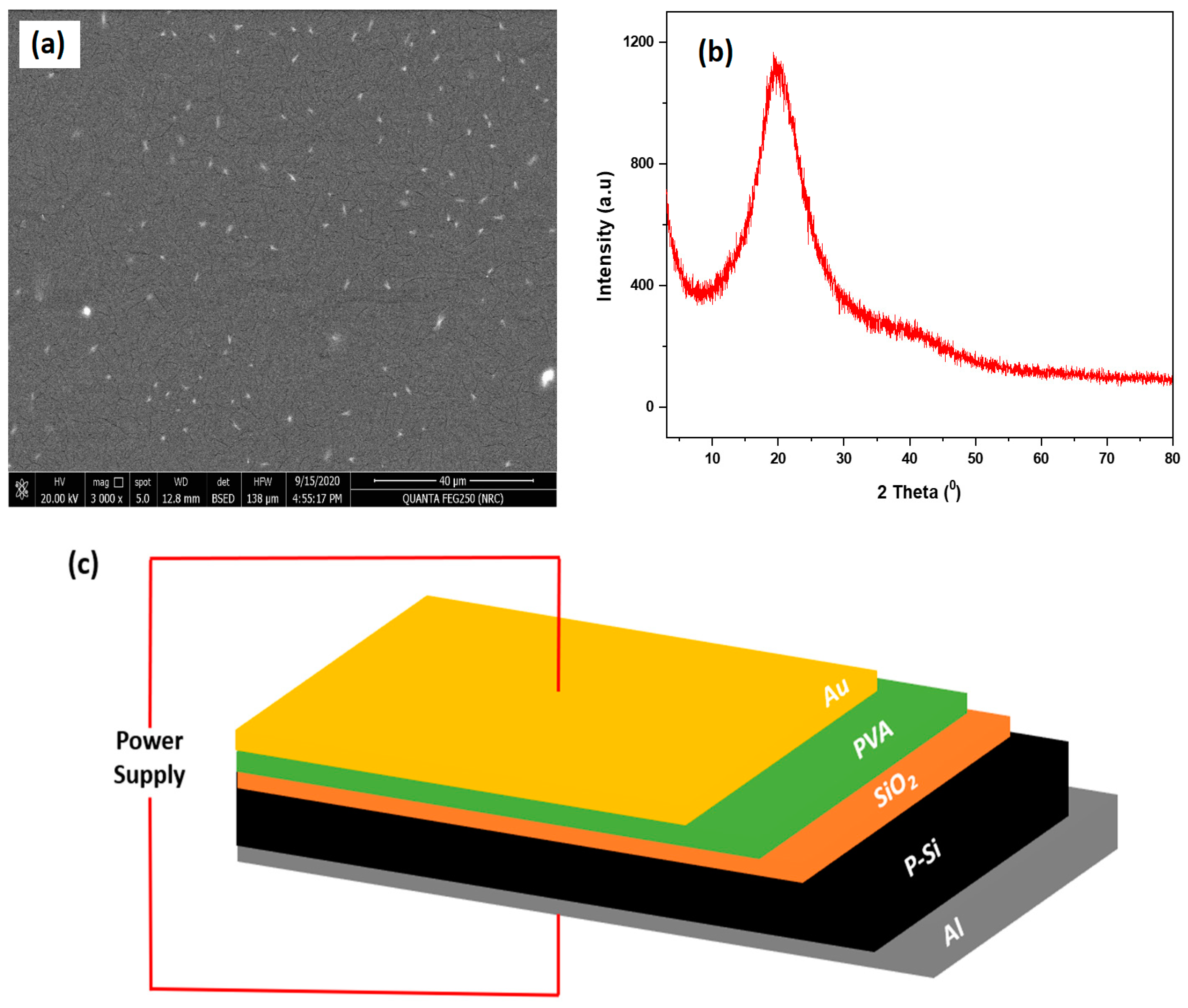 Gels 10 00537 g001 Gels 10 00537 g001
