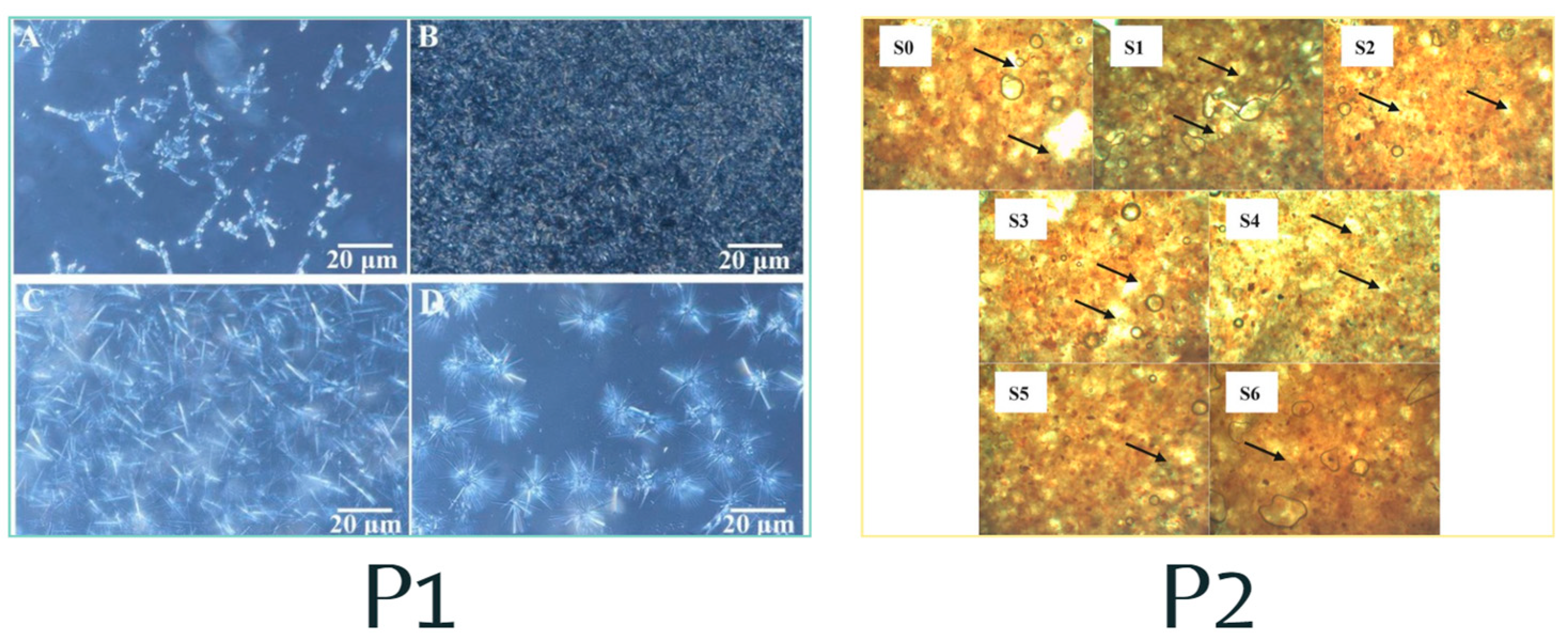 Gels 10 00561 g004
