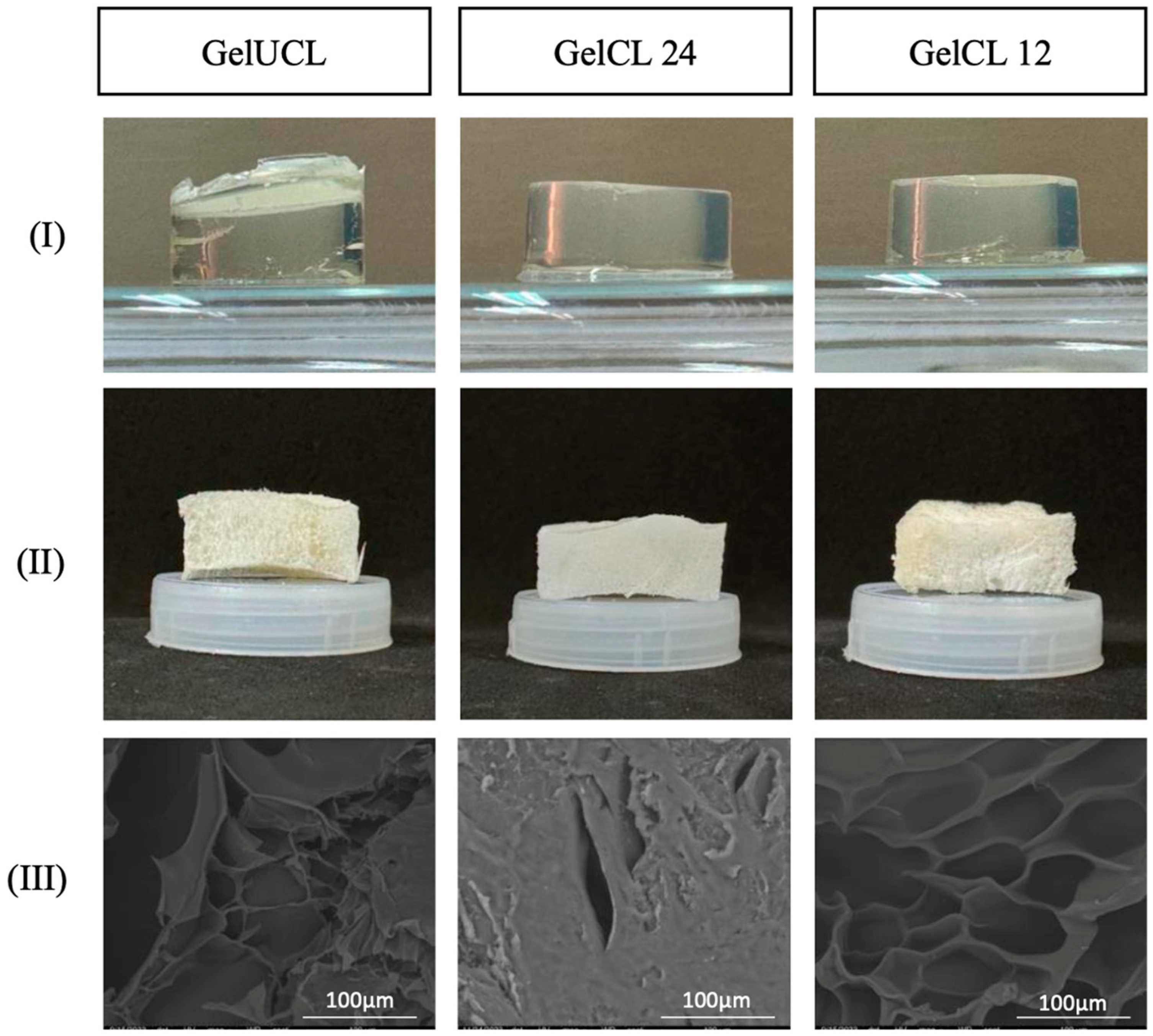 Gels 10 00674 g001