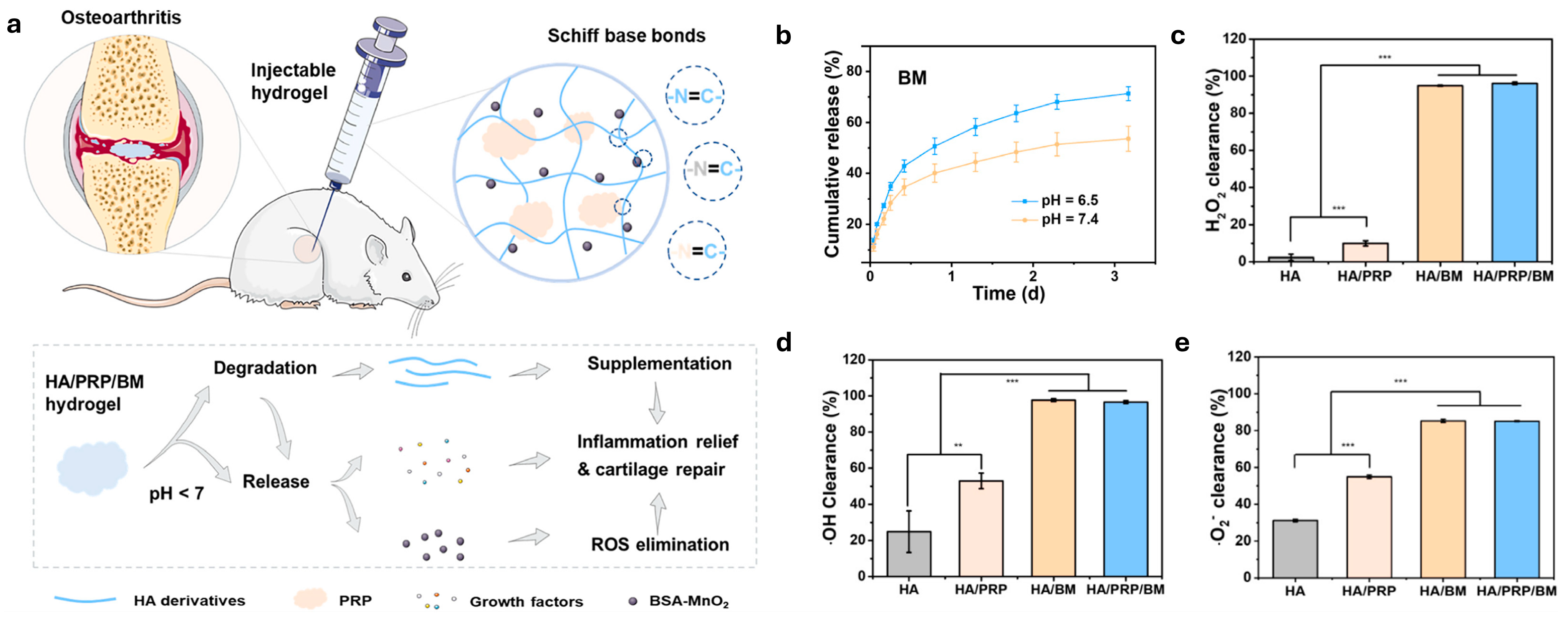 Gels 10 00696 g001 Gels 10 00696 g001