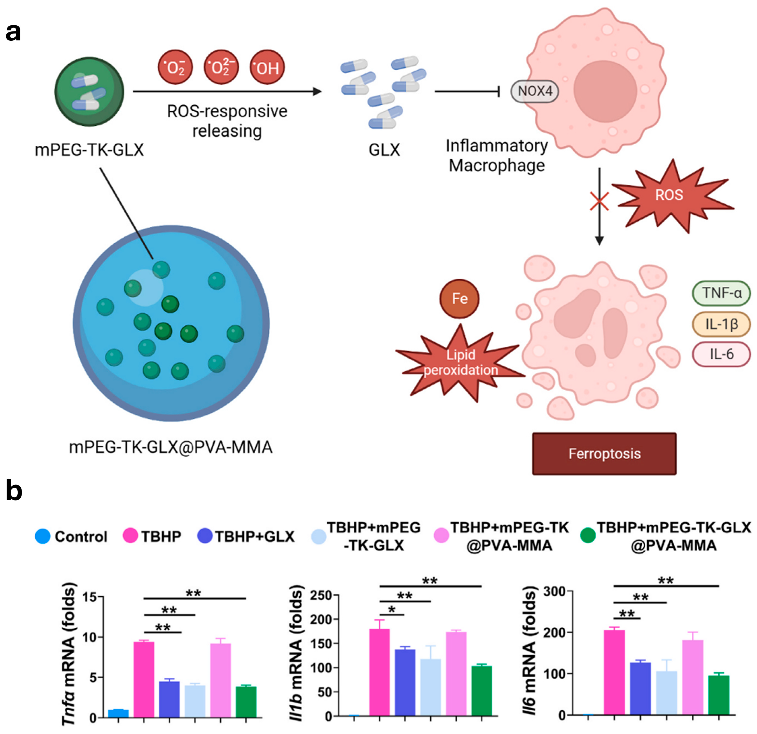 Gels 10 00696 g003 Gels 10 00696 g003
