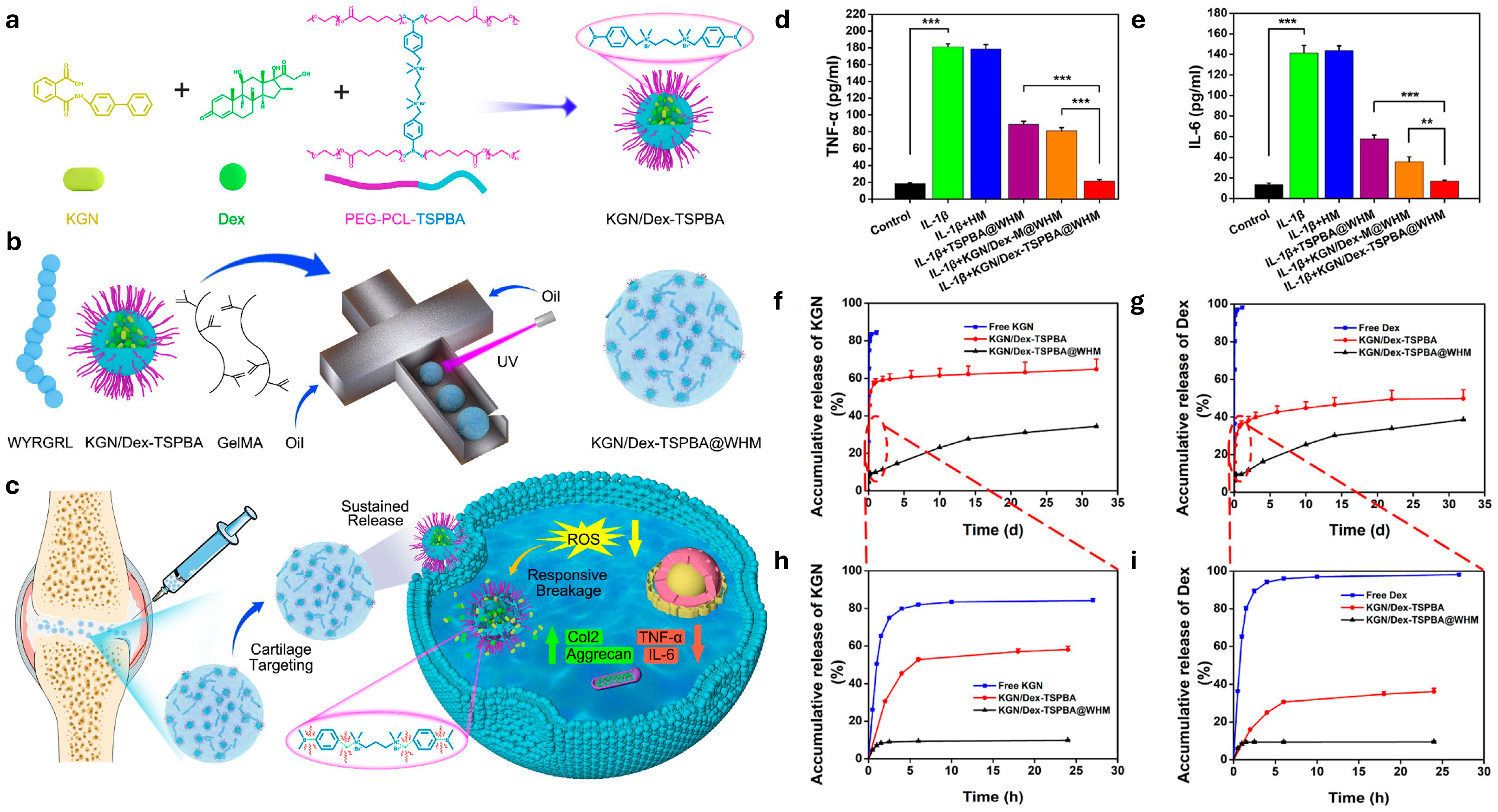 Gels 10 00696 g004 Gels 10 00696 g004