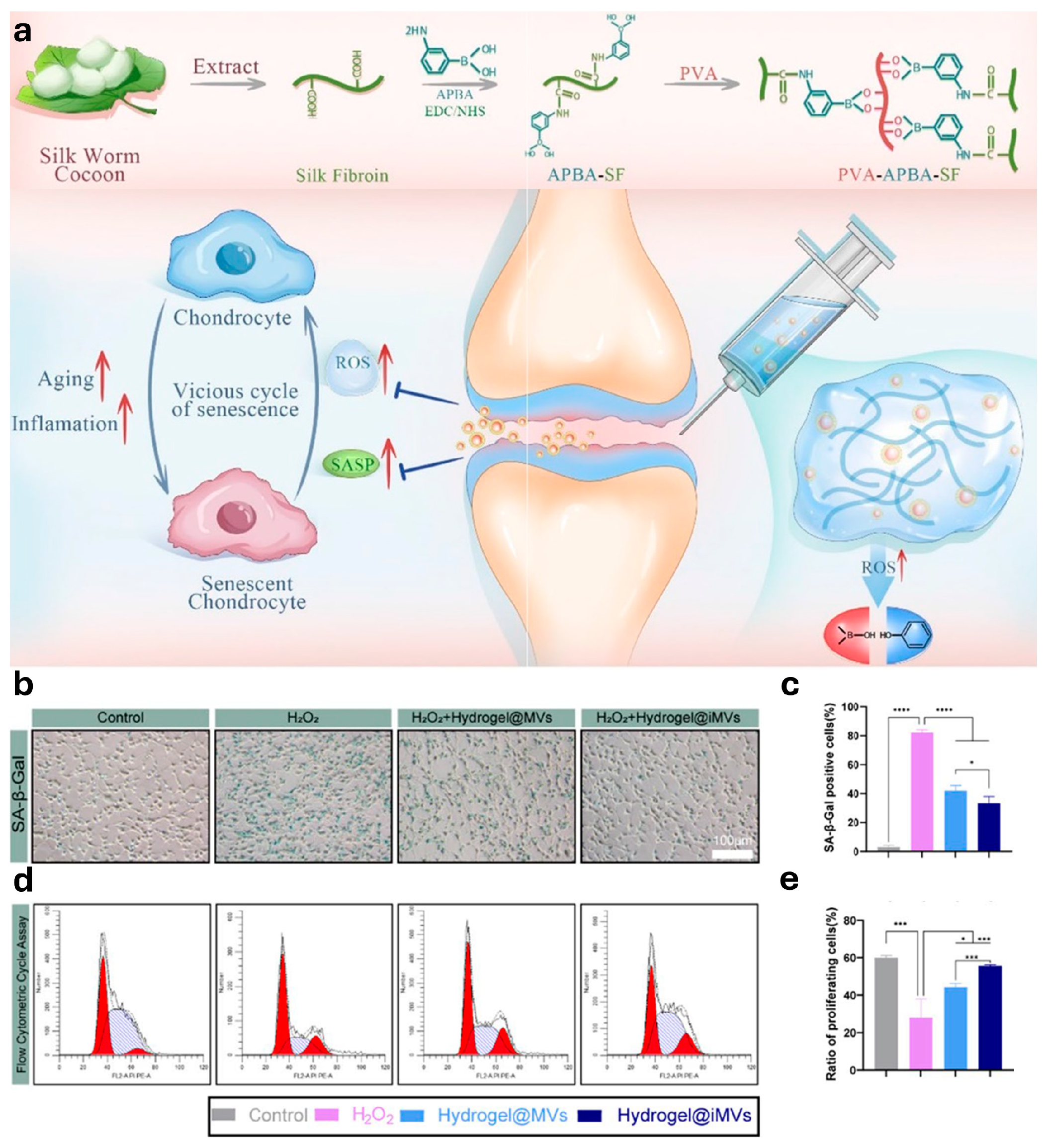 Gels 10 00696 g005 Gels 10 00696 g005