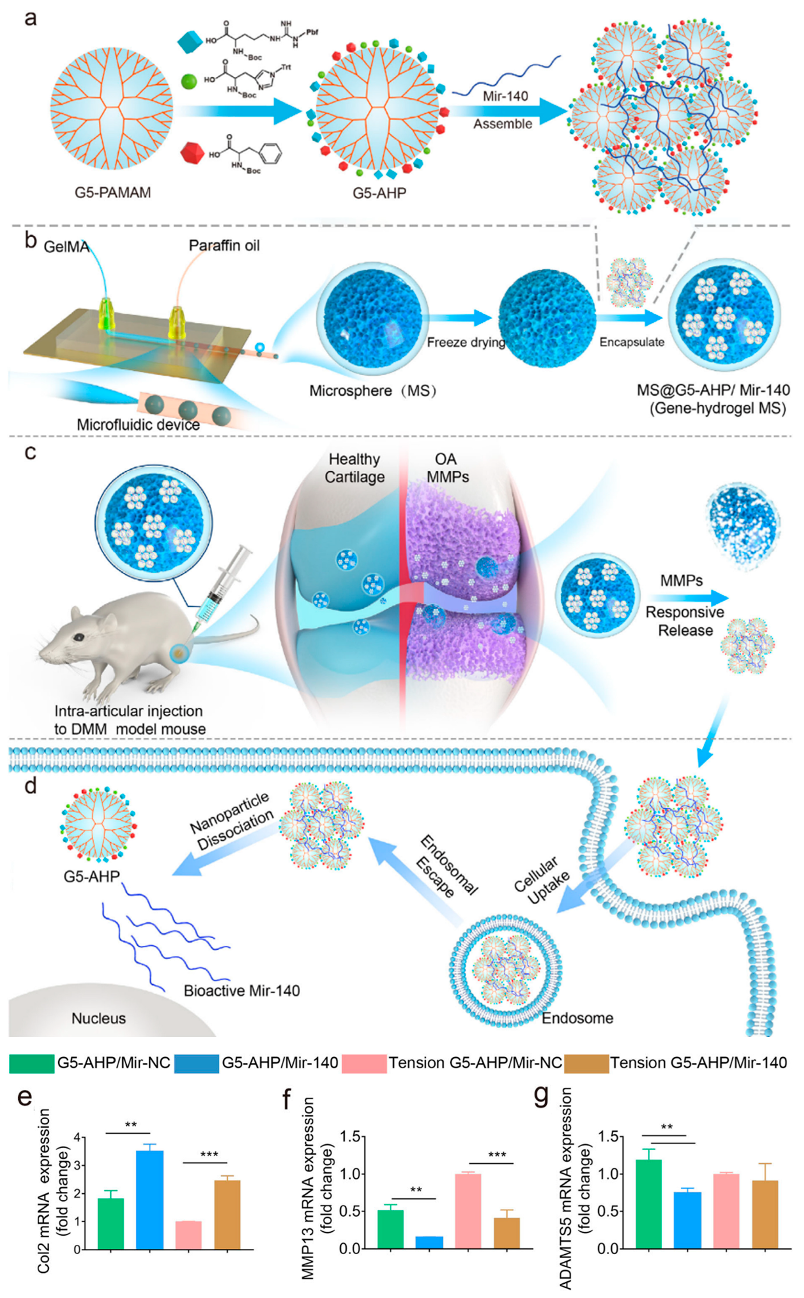 Gels 10 00696 g007 Gels 10 00696 g007