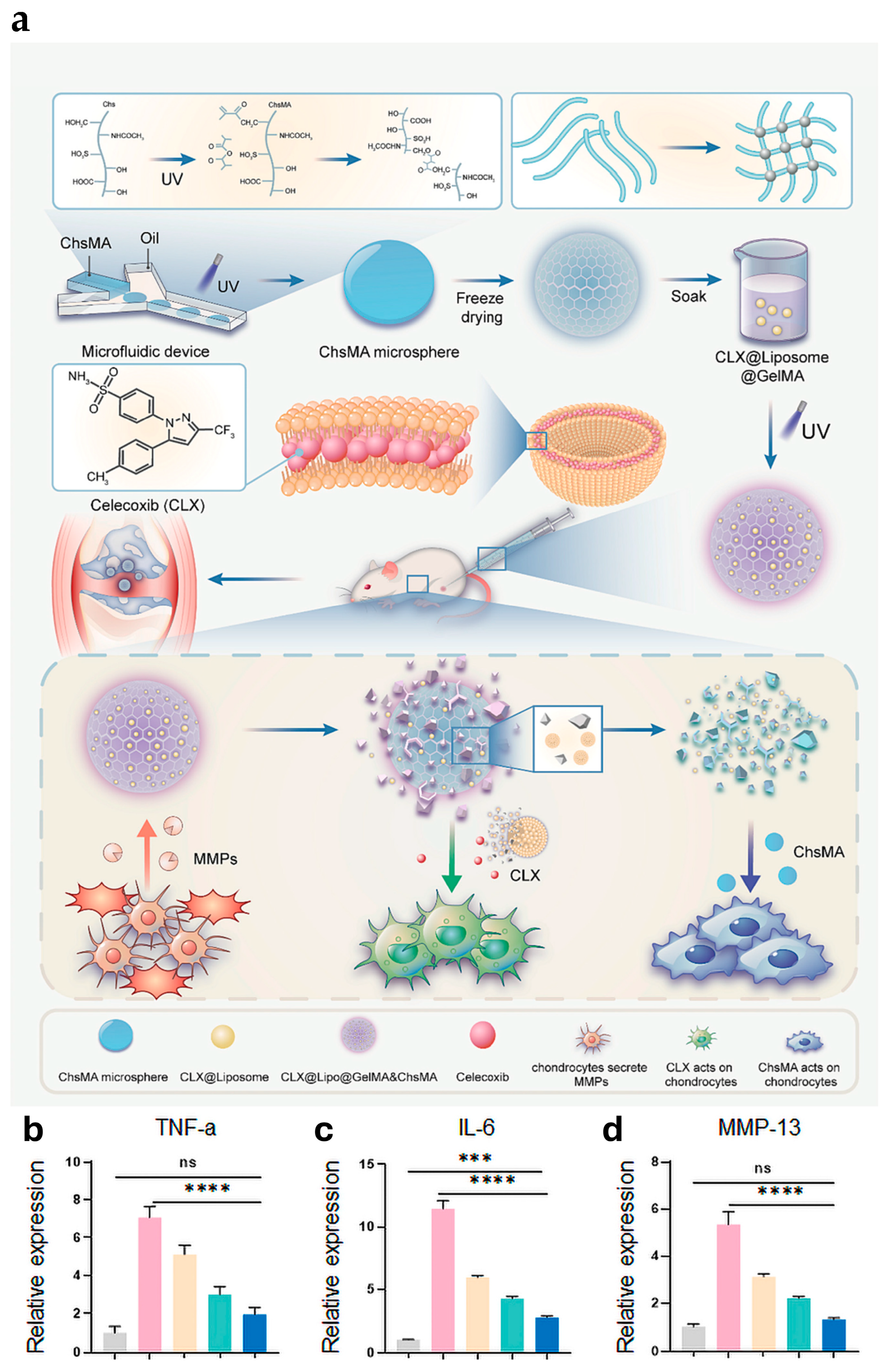 Gels 10 00696 g008 Gels 10 00696 g008