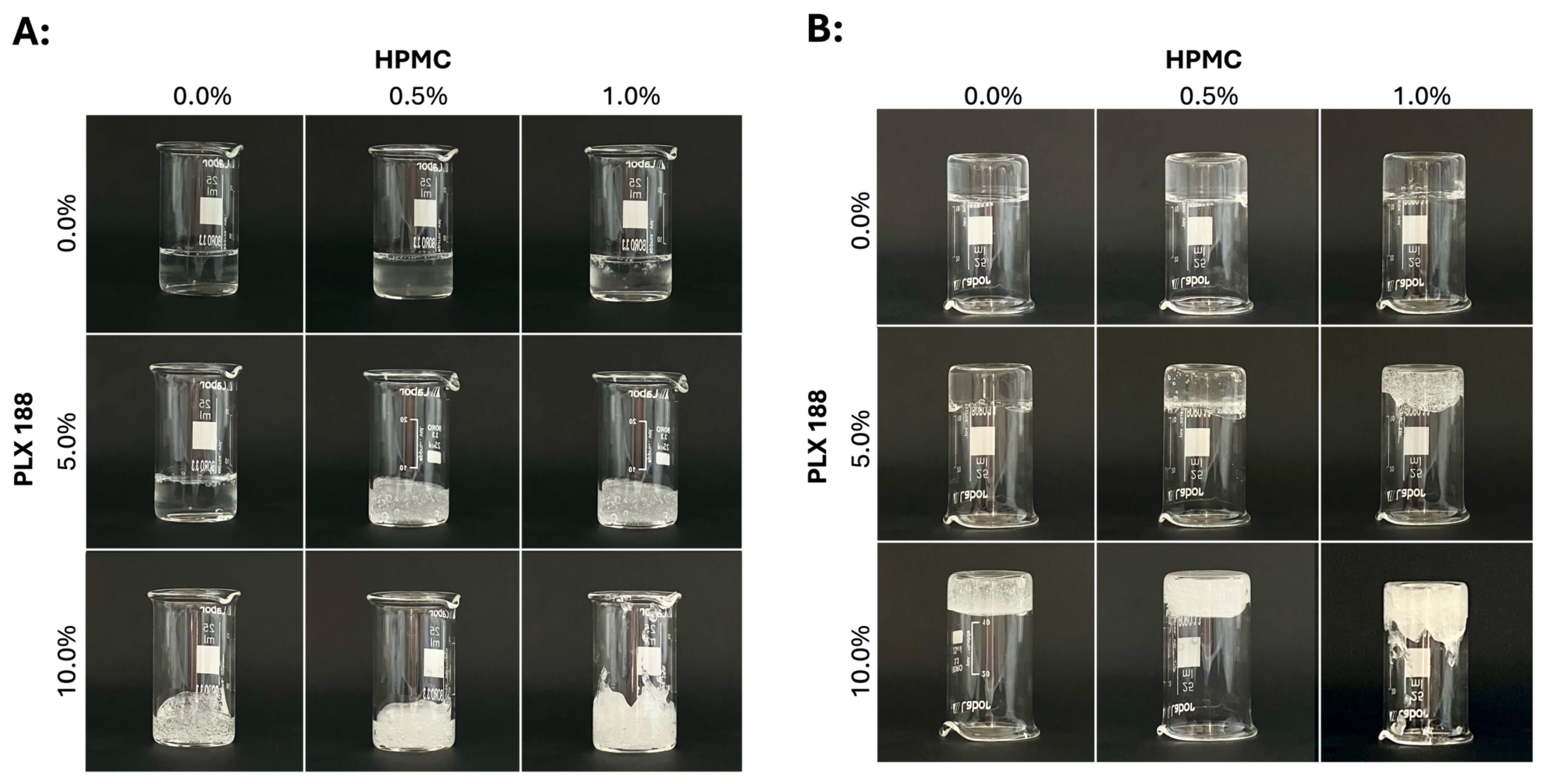 Gels 10 00730 g001 Gels 10 00730 g001