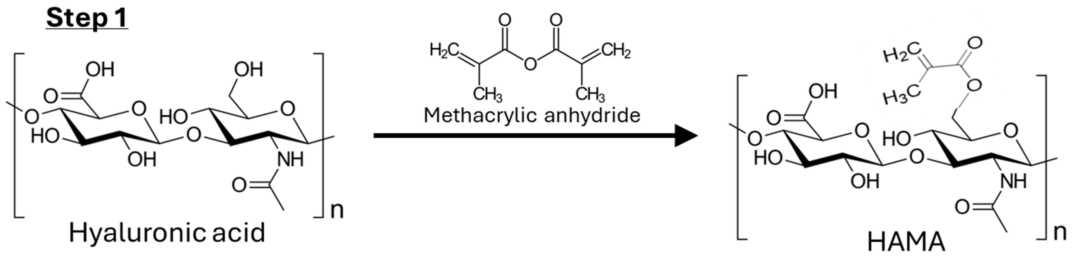 Gels 10 00780 sch001