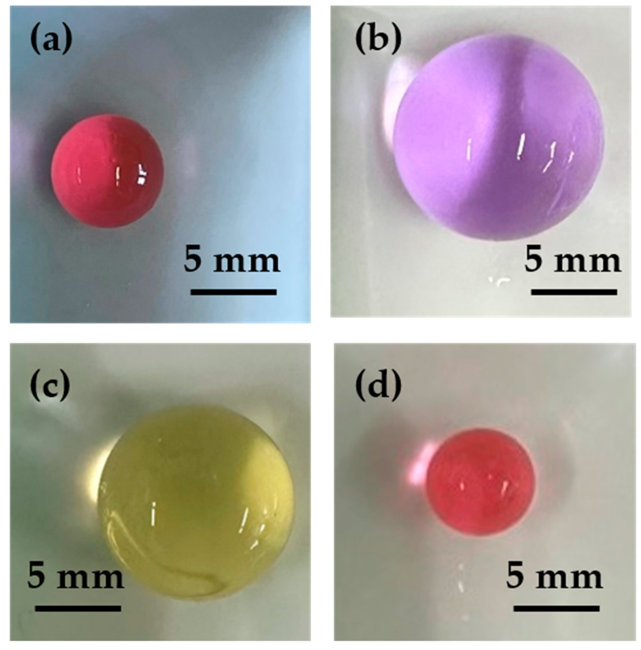 Gels 10 00813 g003