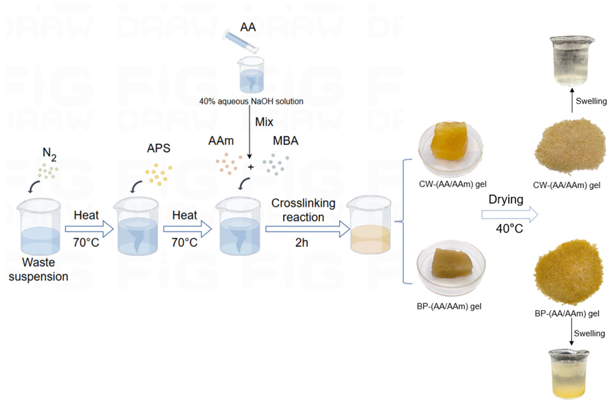 Gels 10 00833 g011 Gels 10 00833 g011
