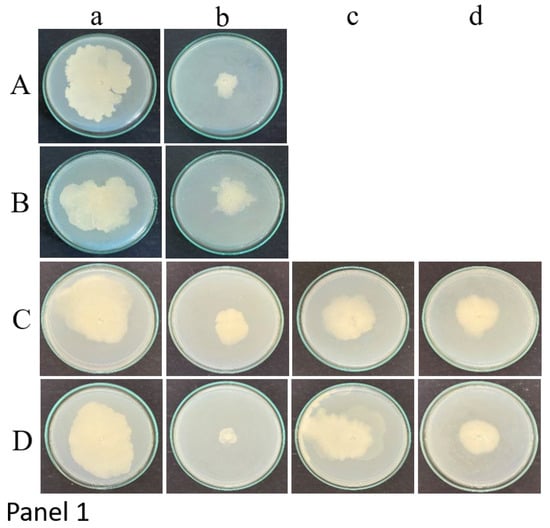 In Situ Aqueous Spice Extract-Based Antifungal Lock Strategy for ...