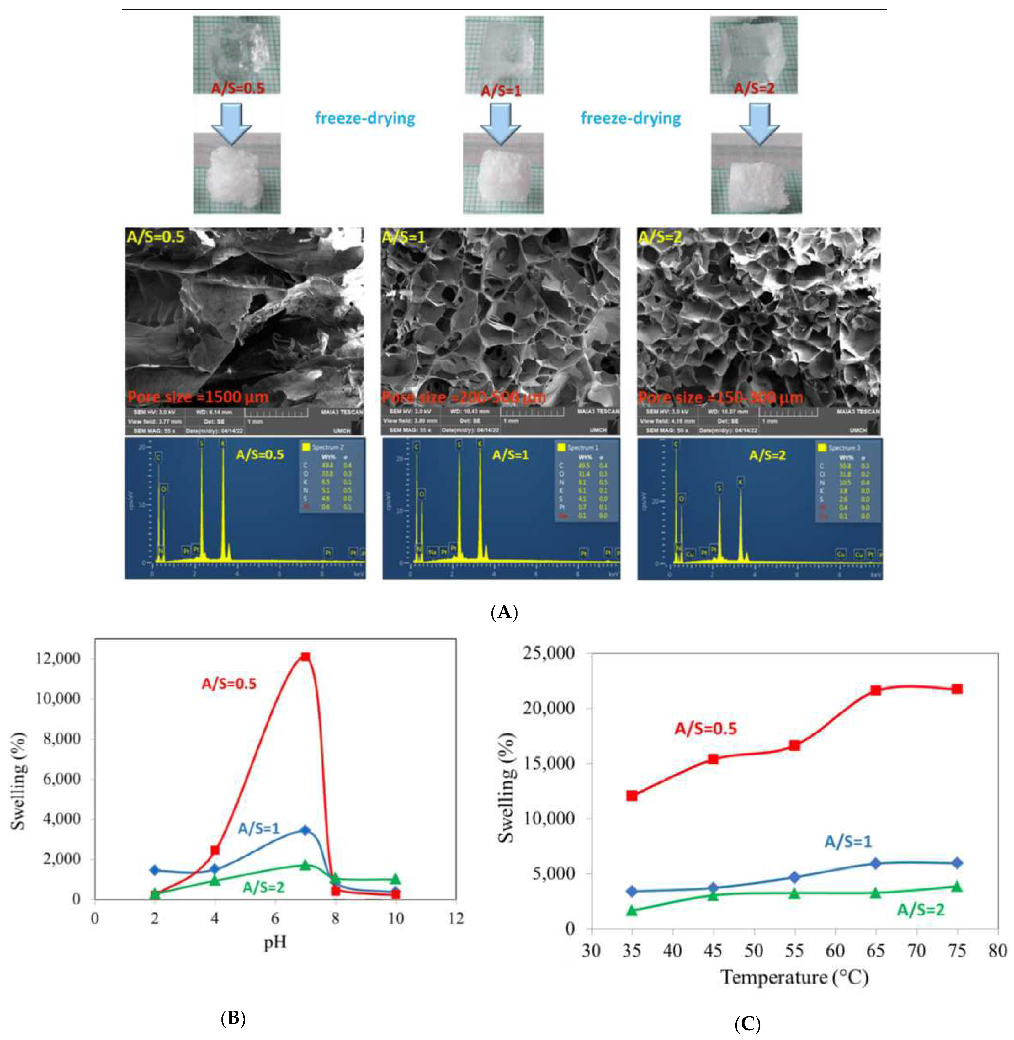 Gels 11 00072 g005 Gels 11 00072 g005