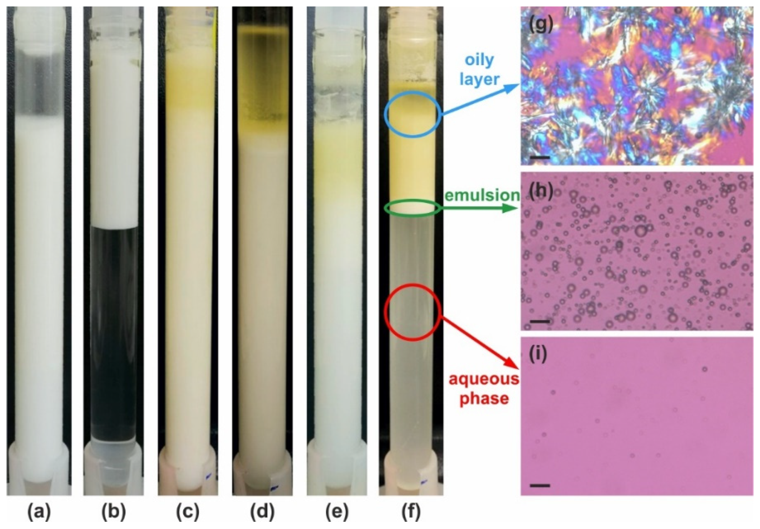 Gels 11 00113 g005 Gels 11 00113 g005