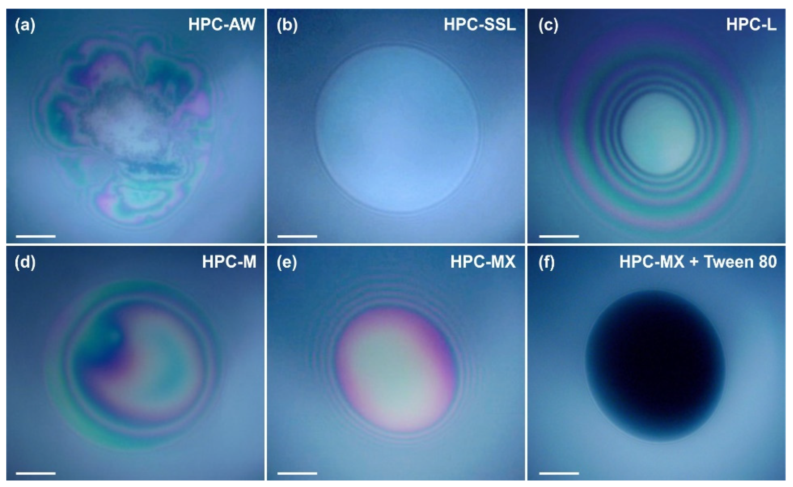 Gels 11 00113 g009 Gels 11 00113 g009