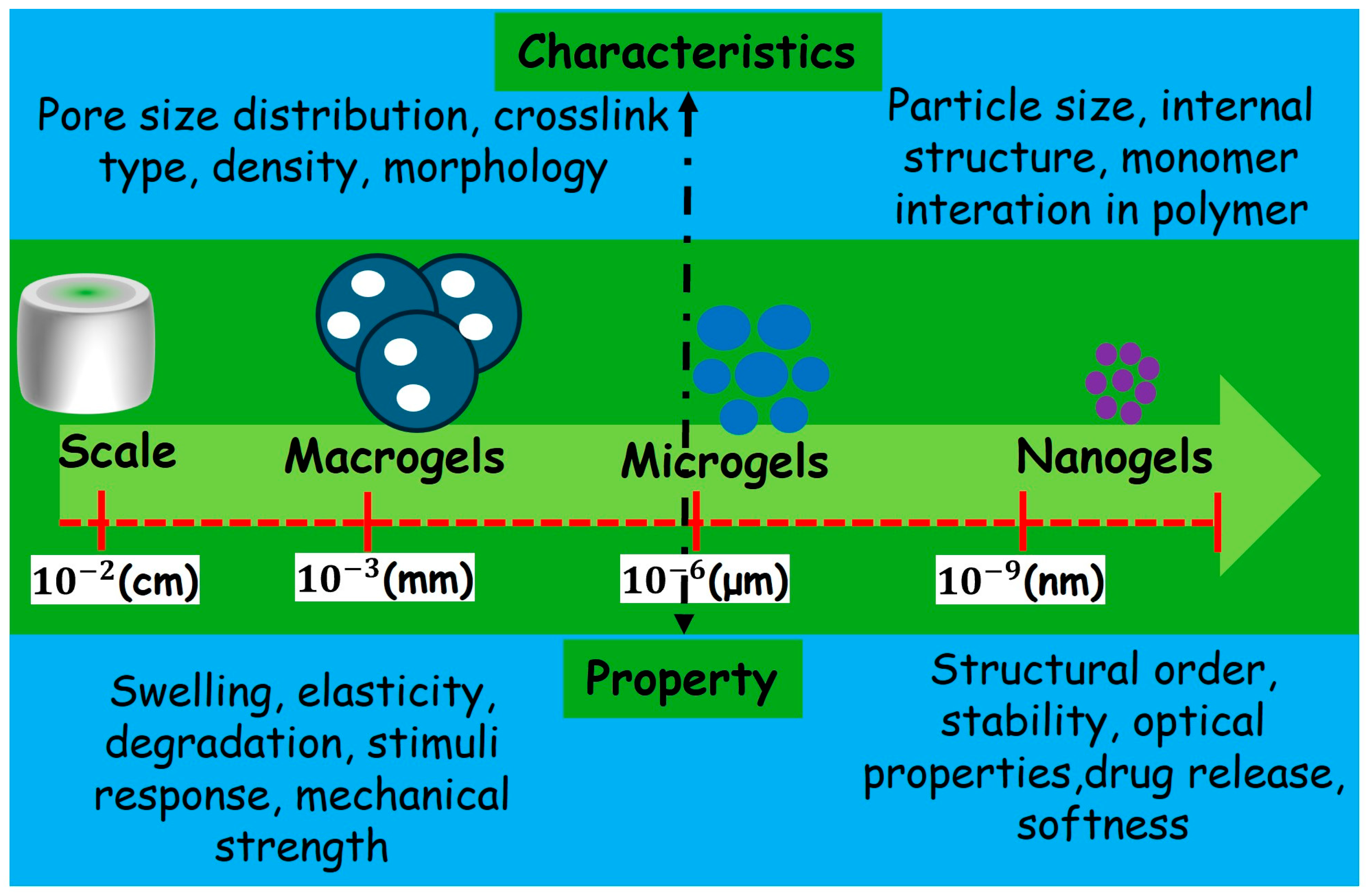 Gels 11 00179 sch001