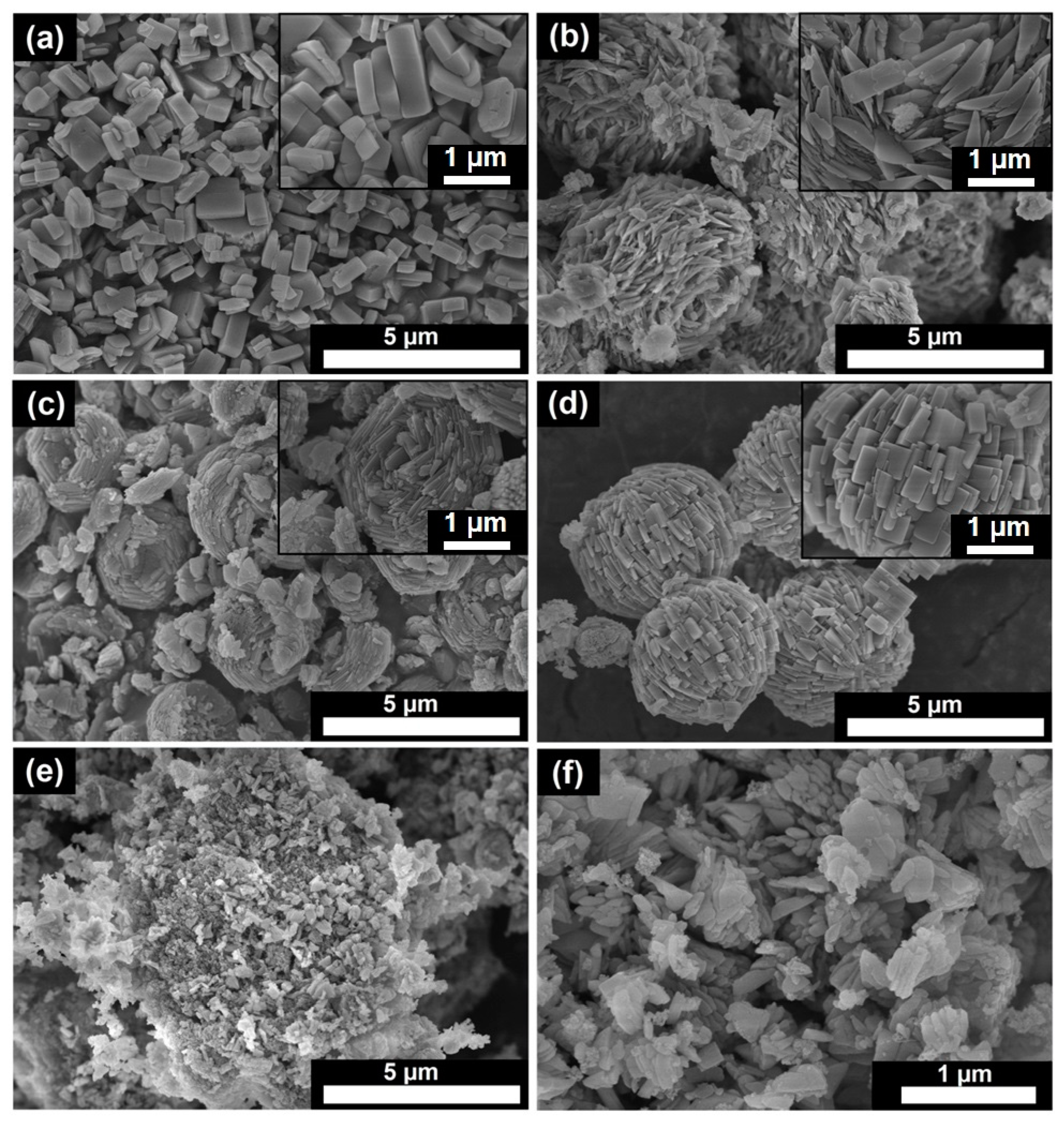 Gels 11 00297 g006 Gels 11 00297 g006