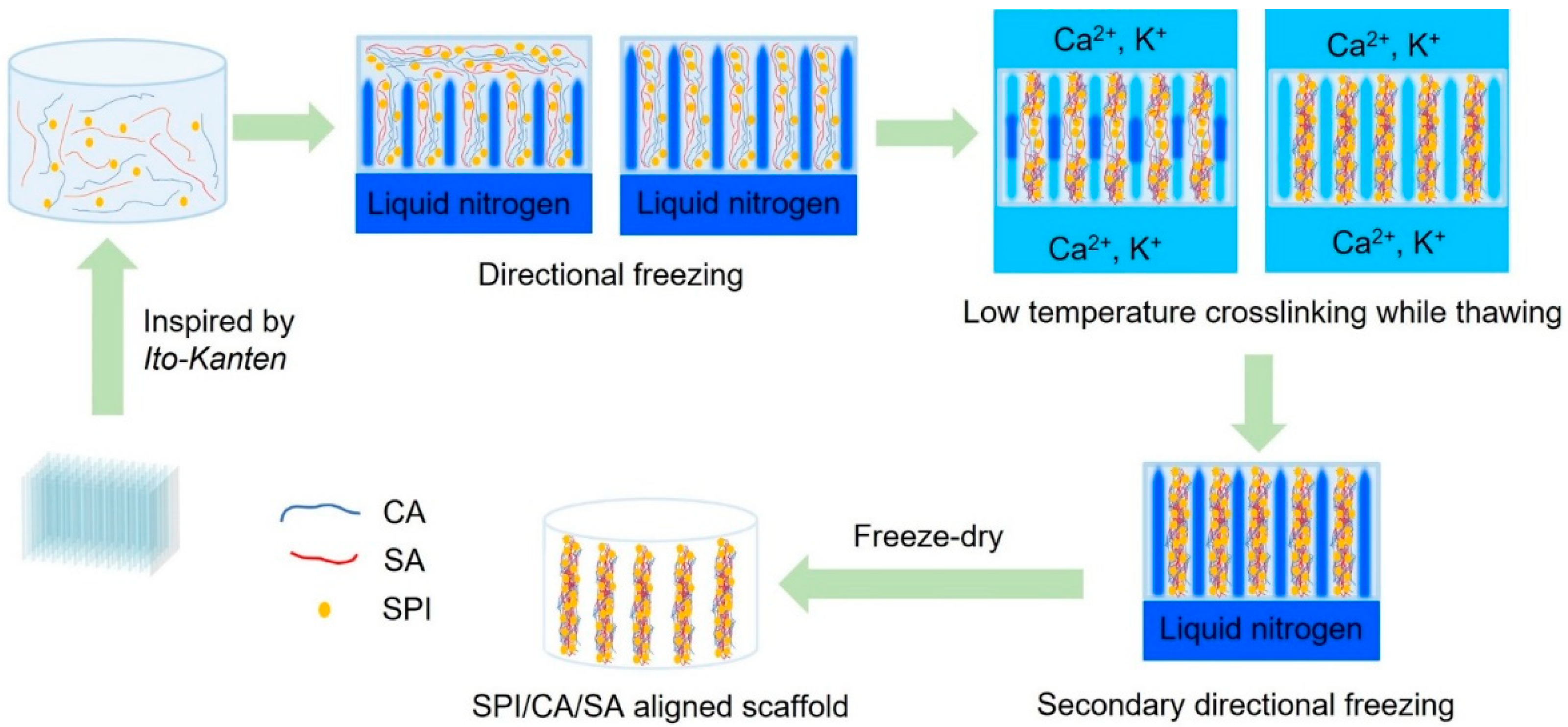 Gels 11 00299 sch001 Gels 11 00299 sch001