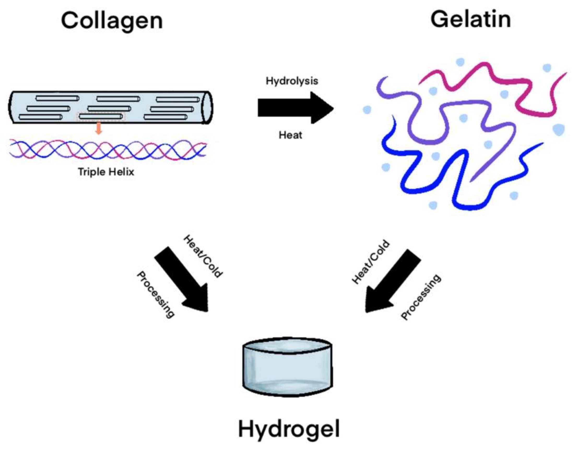 Gels 11 00316 g002 Gels 11 00316 g002