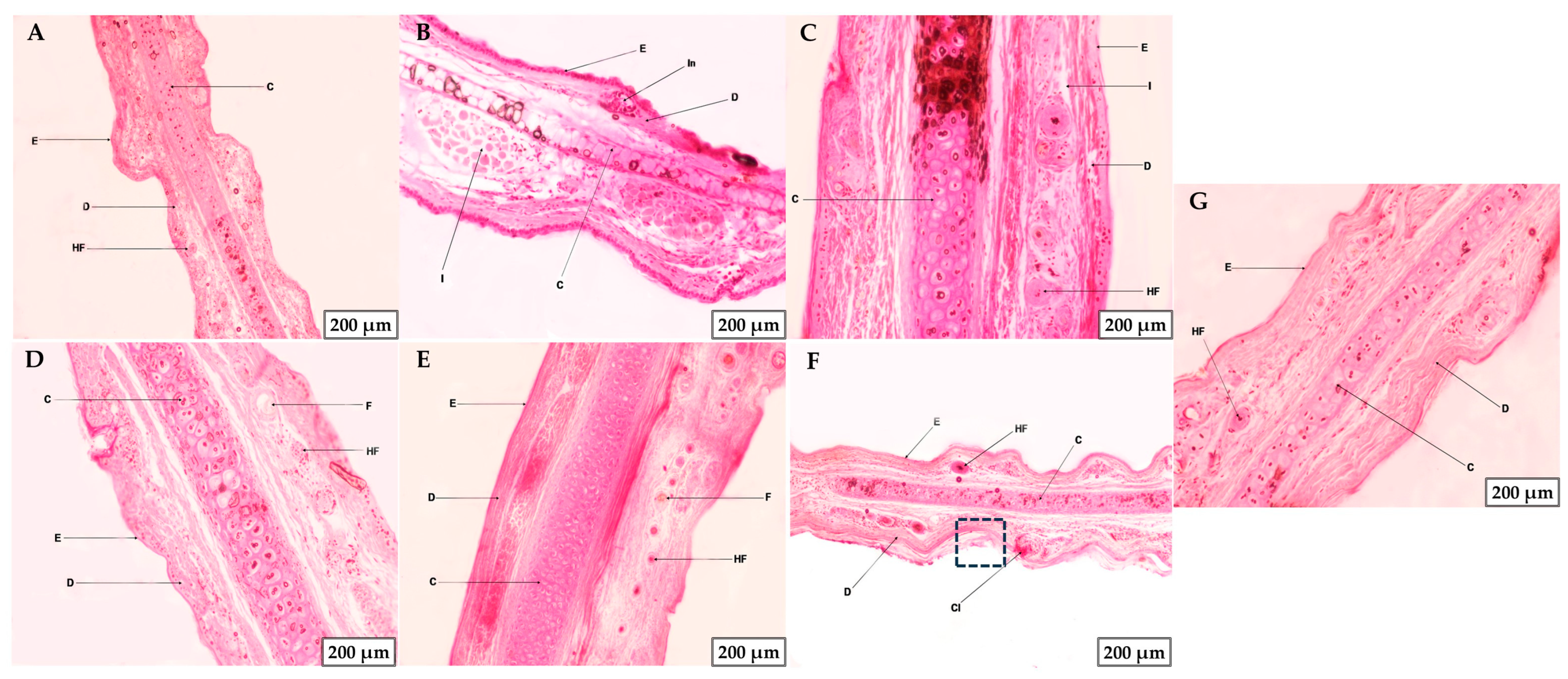 Gels 11 00334 g011