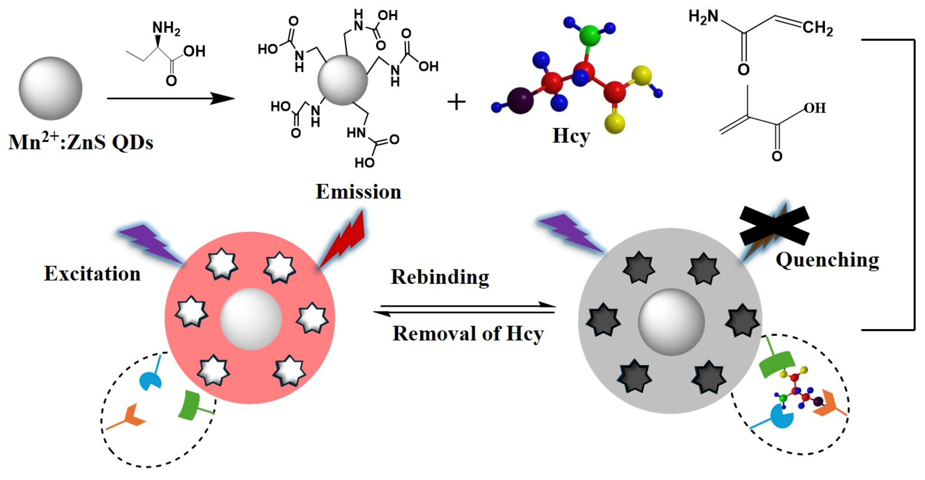 Gels 11 00632 g001 Gels 11 00632 g001