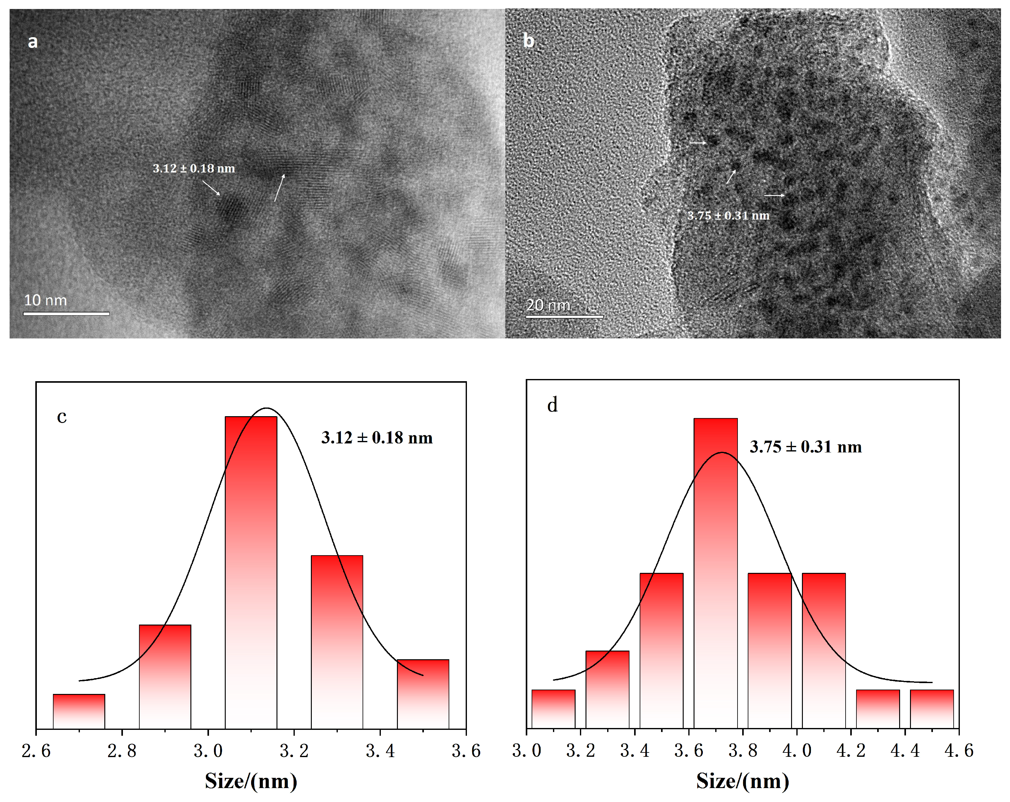 Gels 11 00632 g002 Gels 11 00632 g002