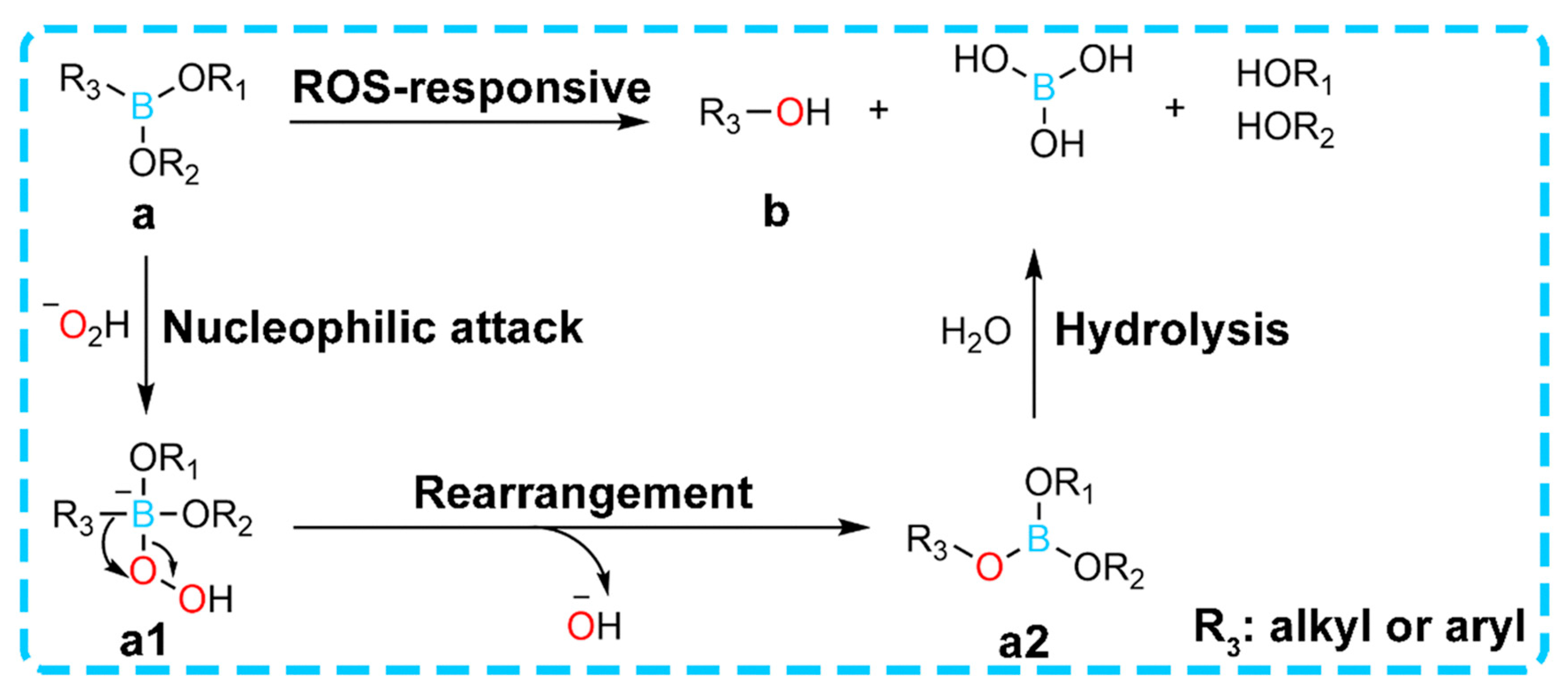 Gels 11 00647 g004 Gels 11 00647 g004