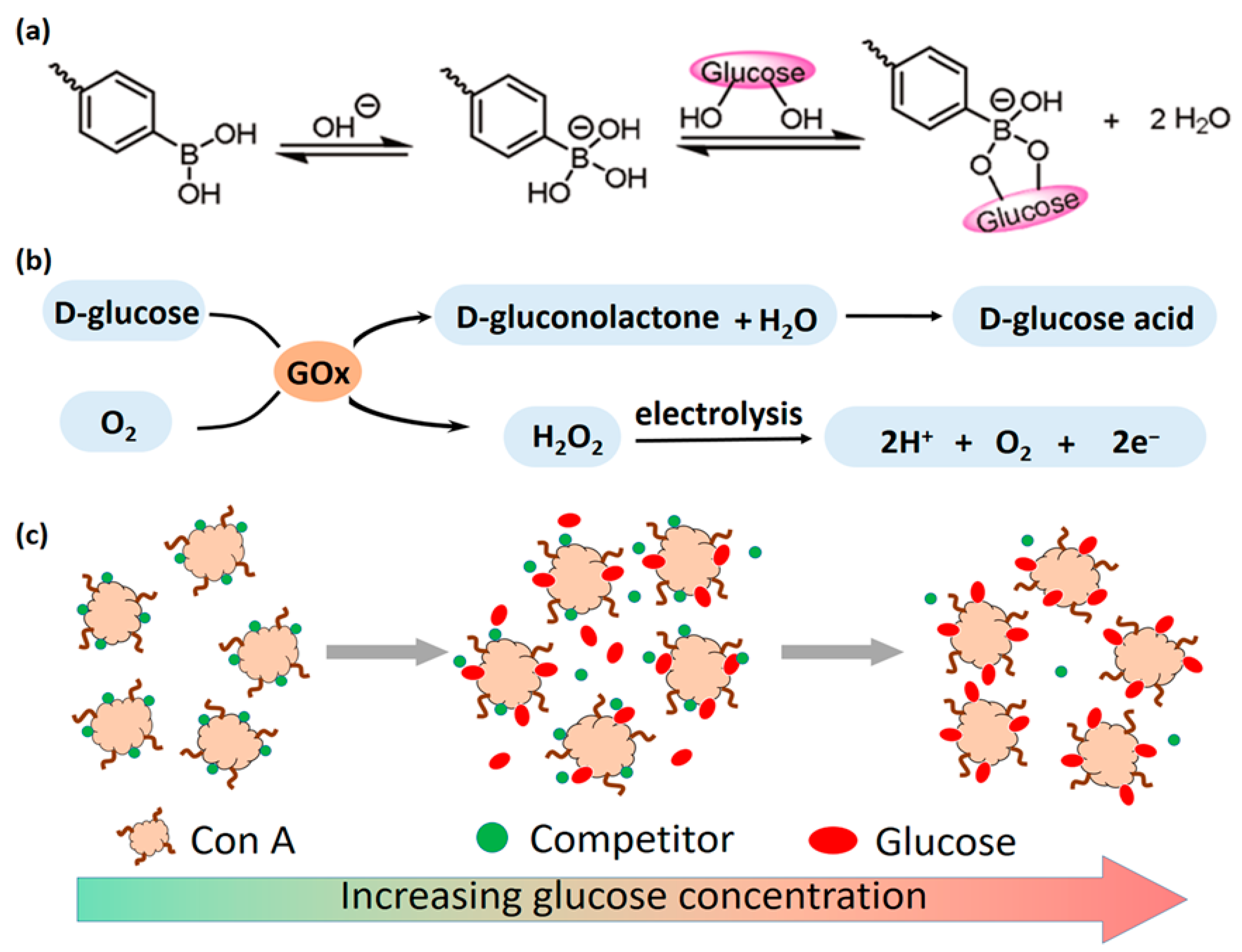 Gels 11 00647 g005 Gels 11 00647 g005