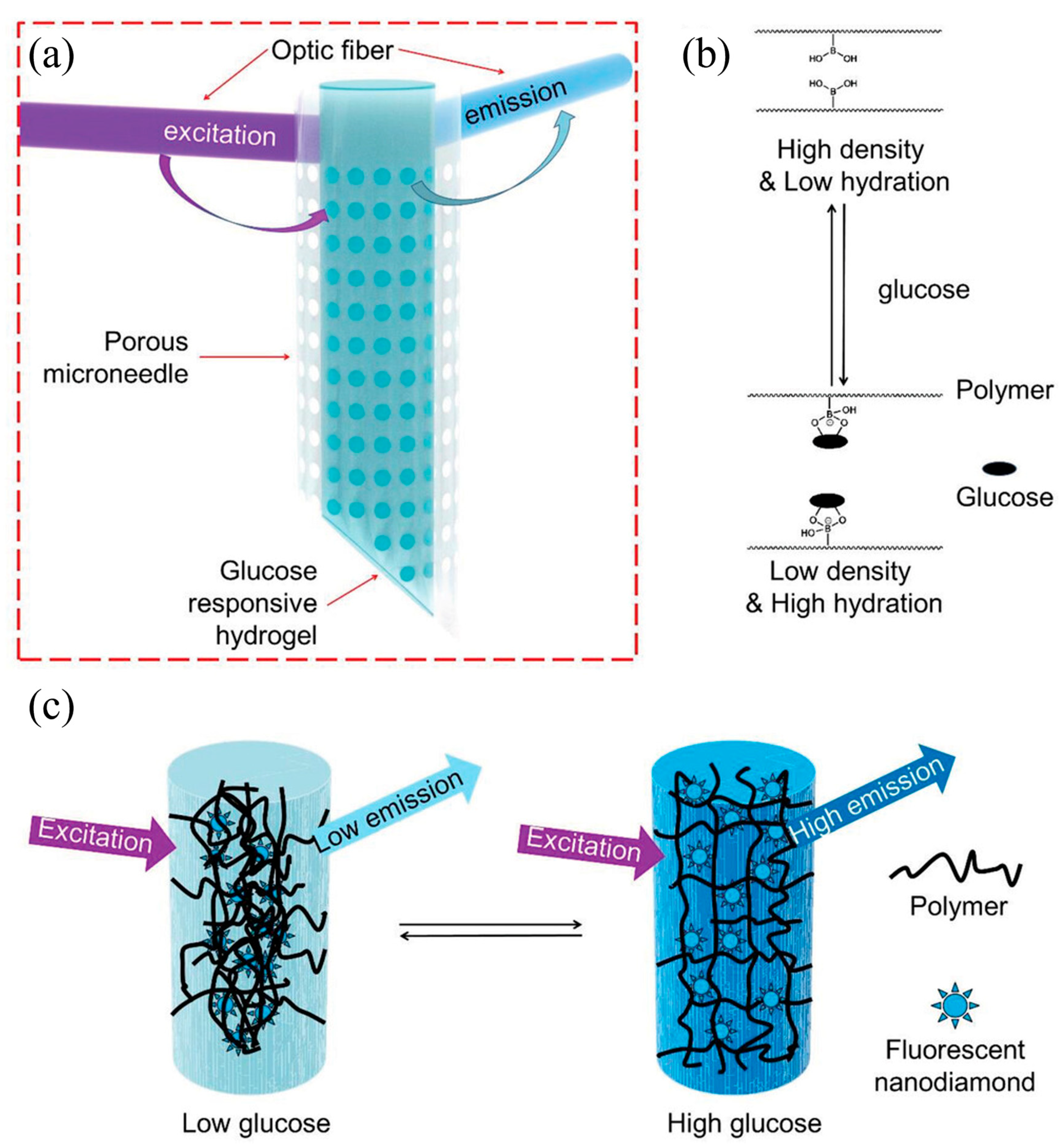 Gels 11 00647 g007 Gels 11 00647 g007