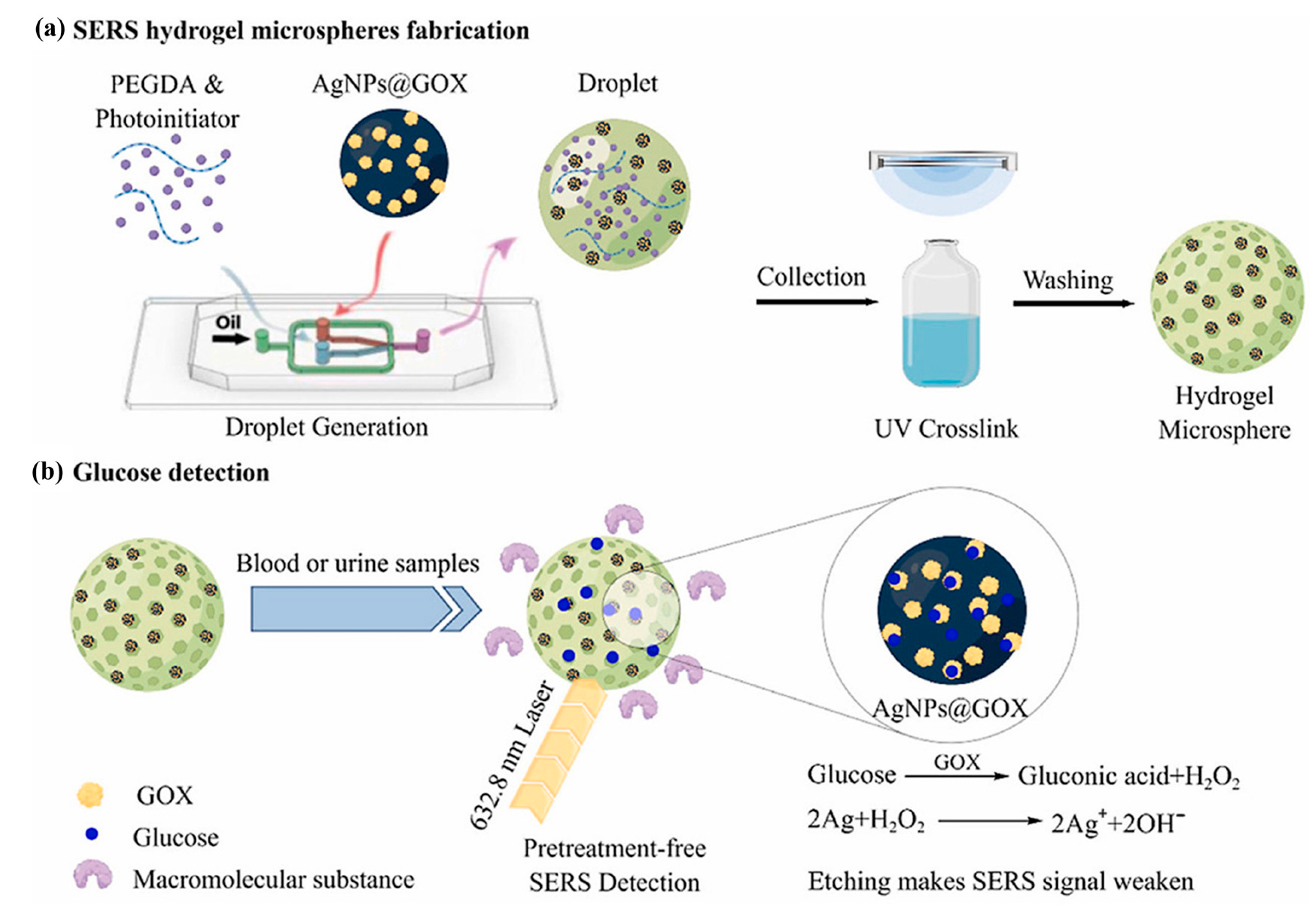 Gels 11 00647 g008 Gels 11 00647 g008