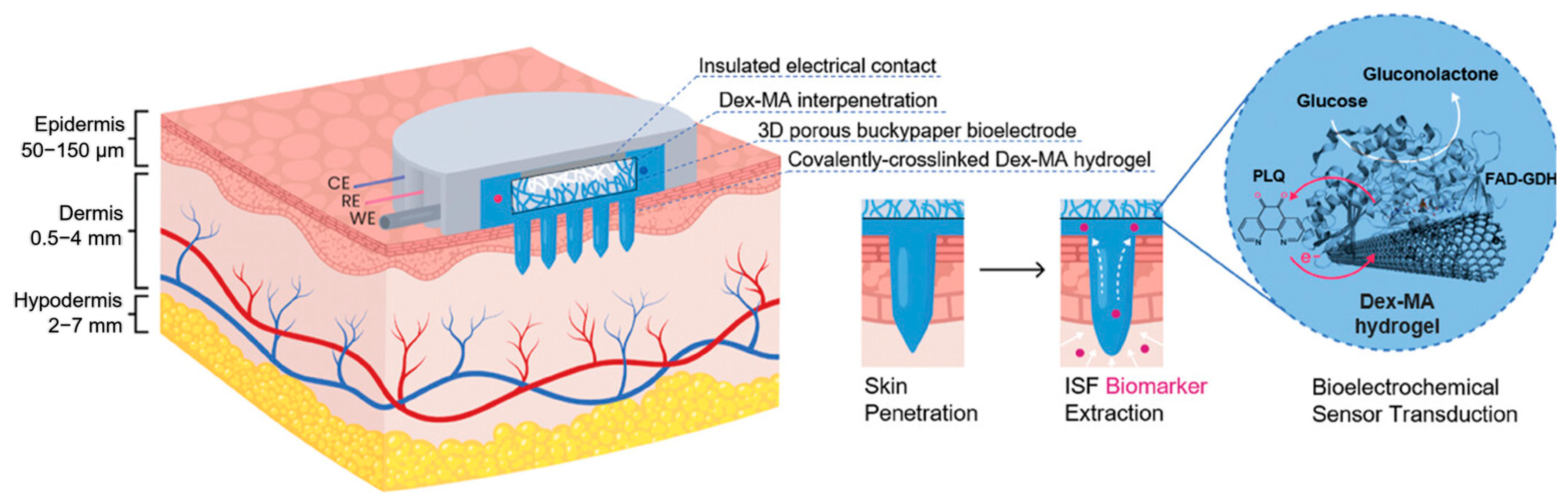 Gels 11 00647 g010 Gels 11 00647 g010