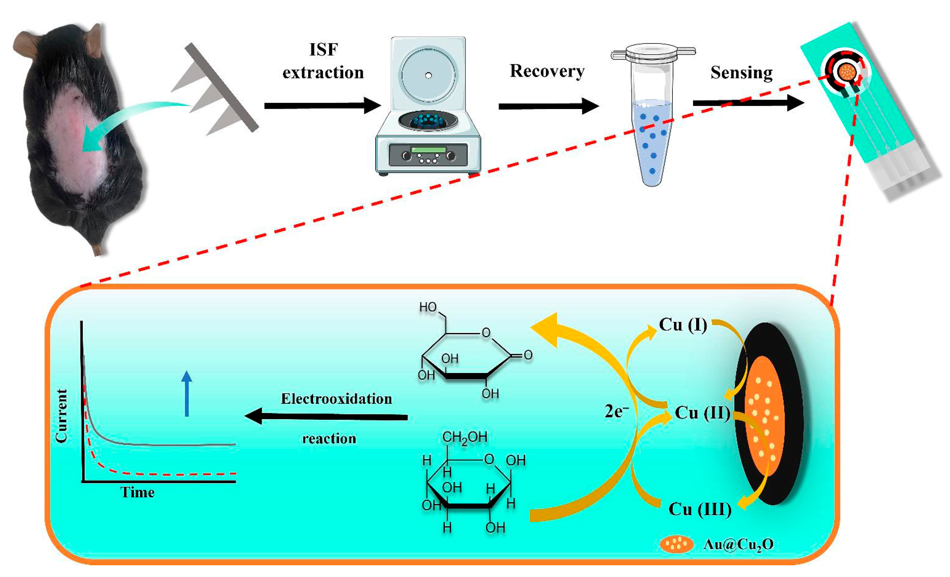 Gels 11 00647 g011 Gels 11 00647 g011