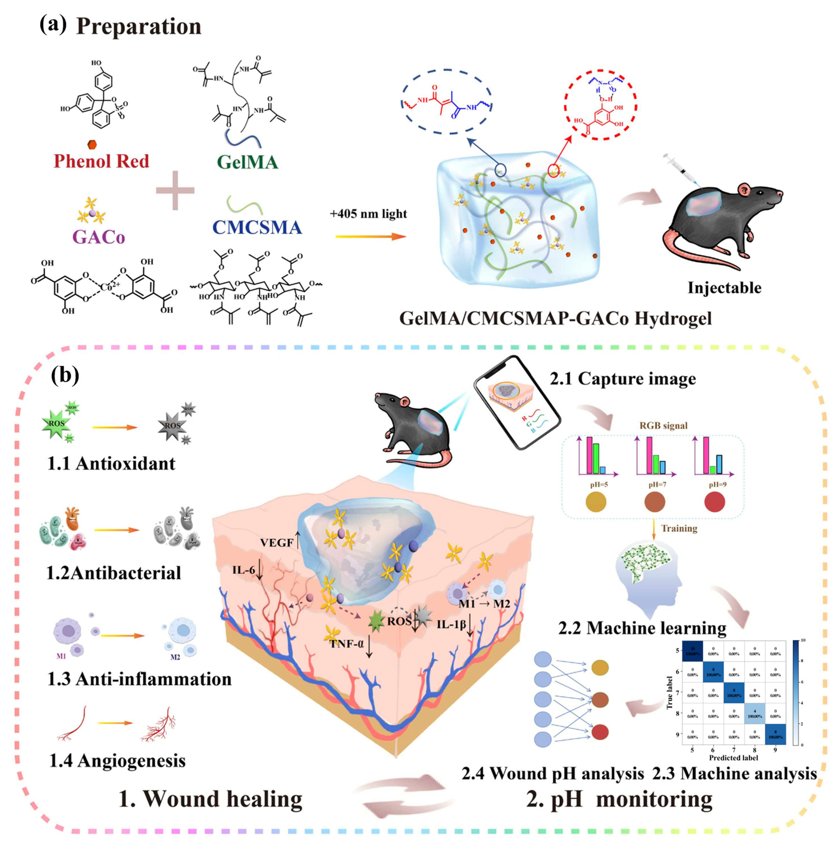 Gels 11 00647 g014 Gels 11 00647 g014