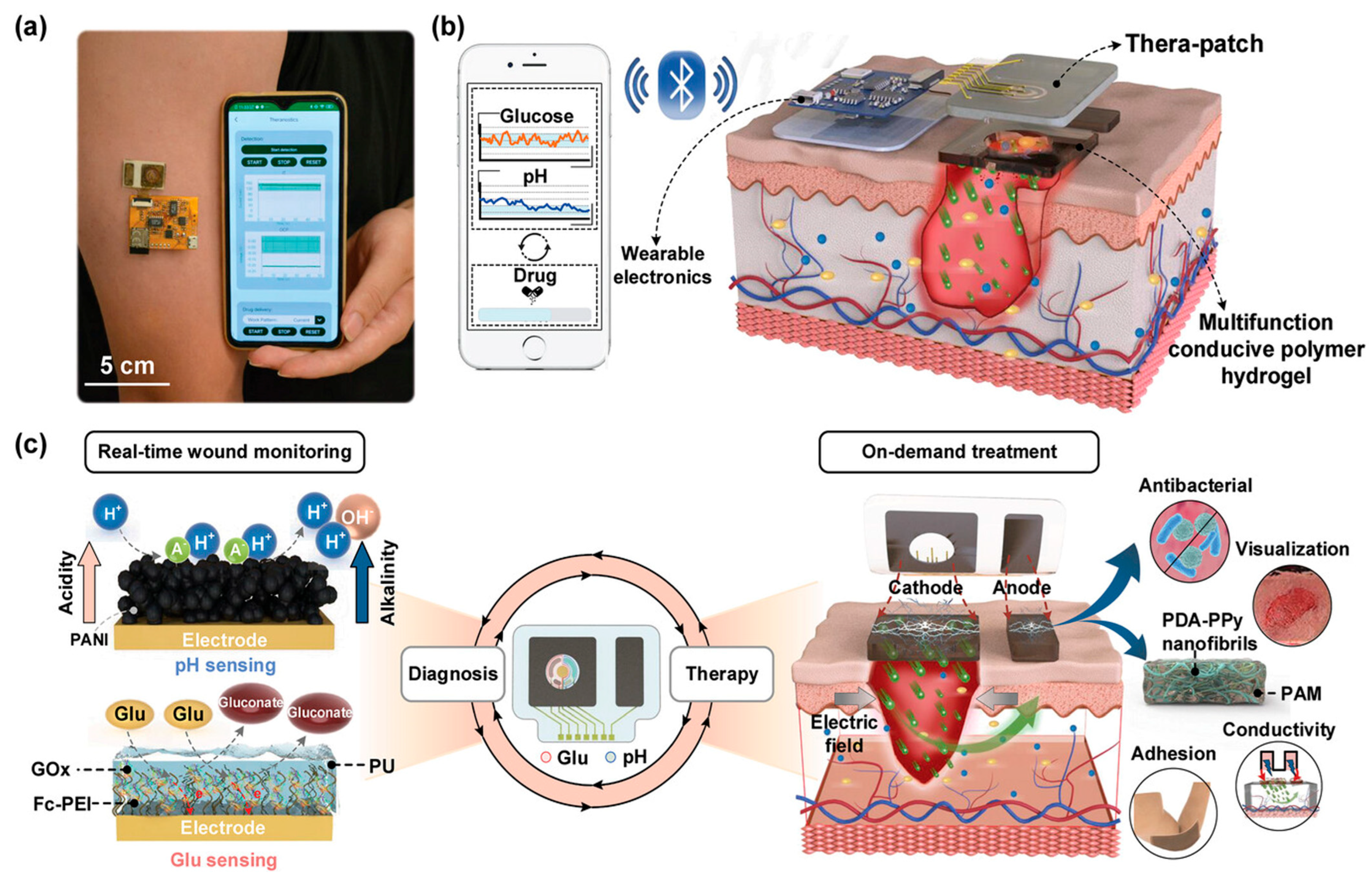 Gels 11 00647 g016 Gels 11 00647 g016