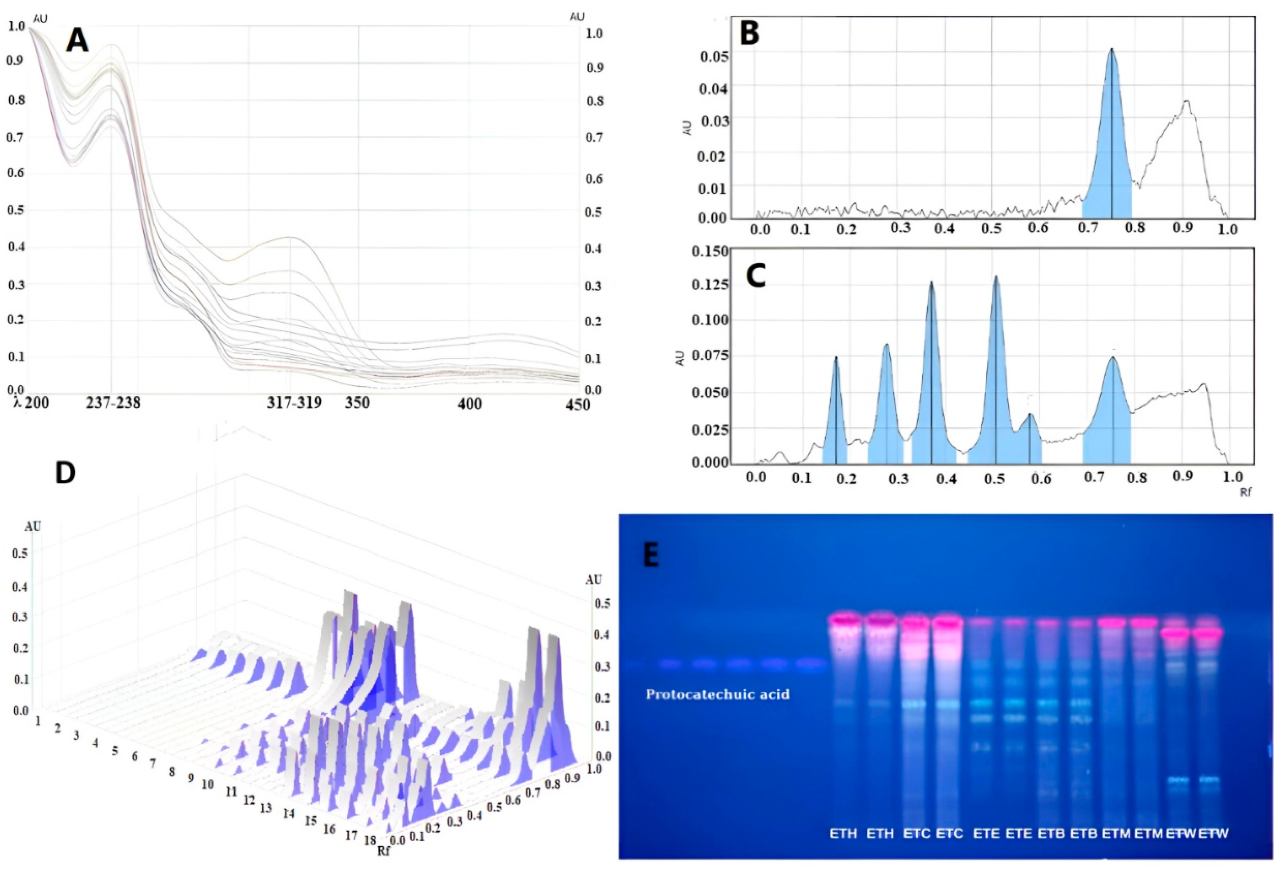 Gels 11 00662 g002 Gels 11 00662 g002