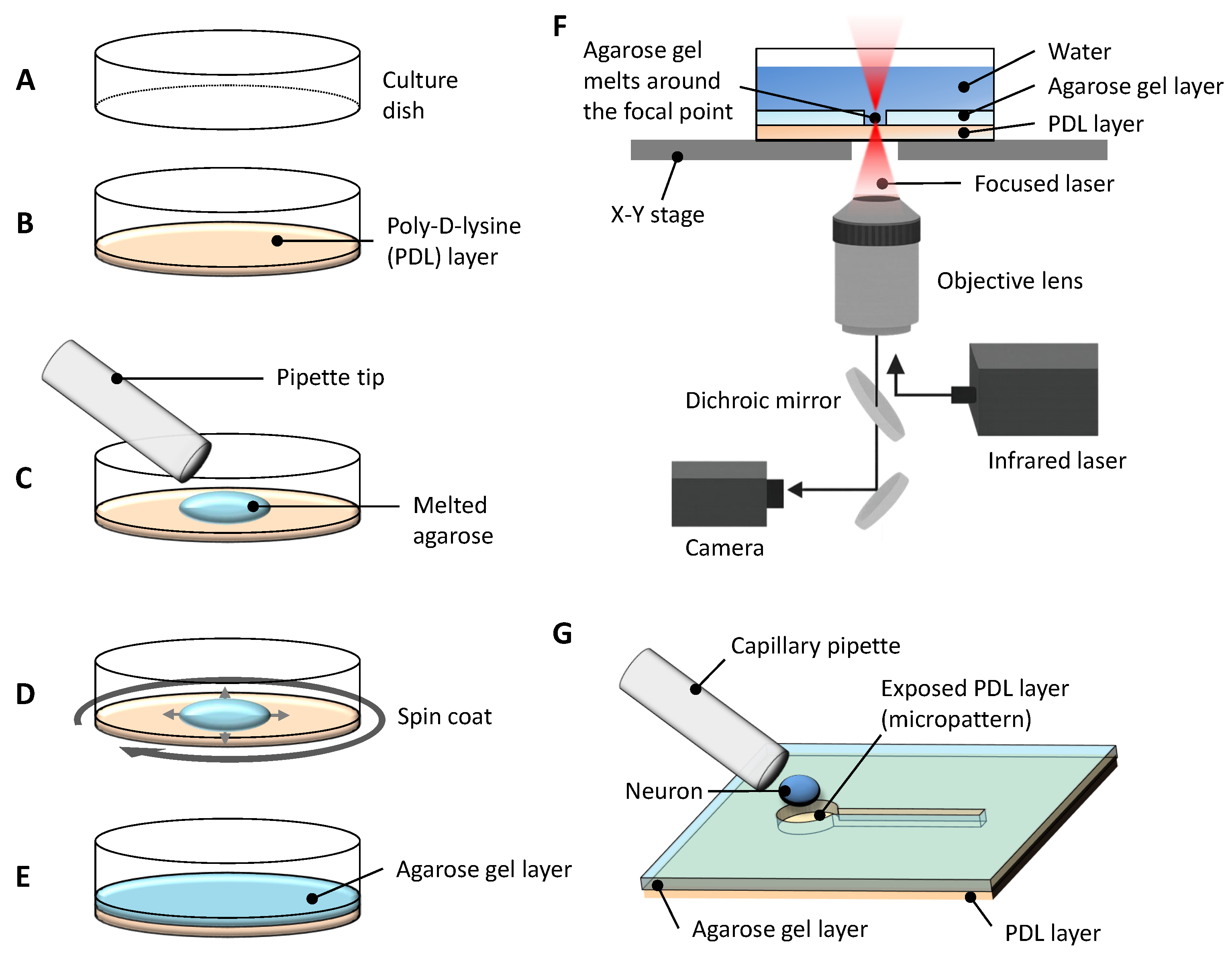 Gels 11 00668 g001 Gels 11 00668 g001