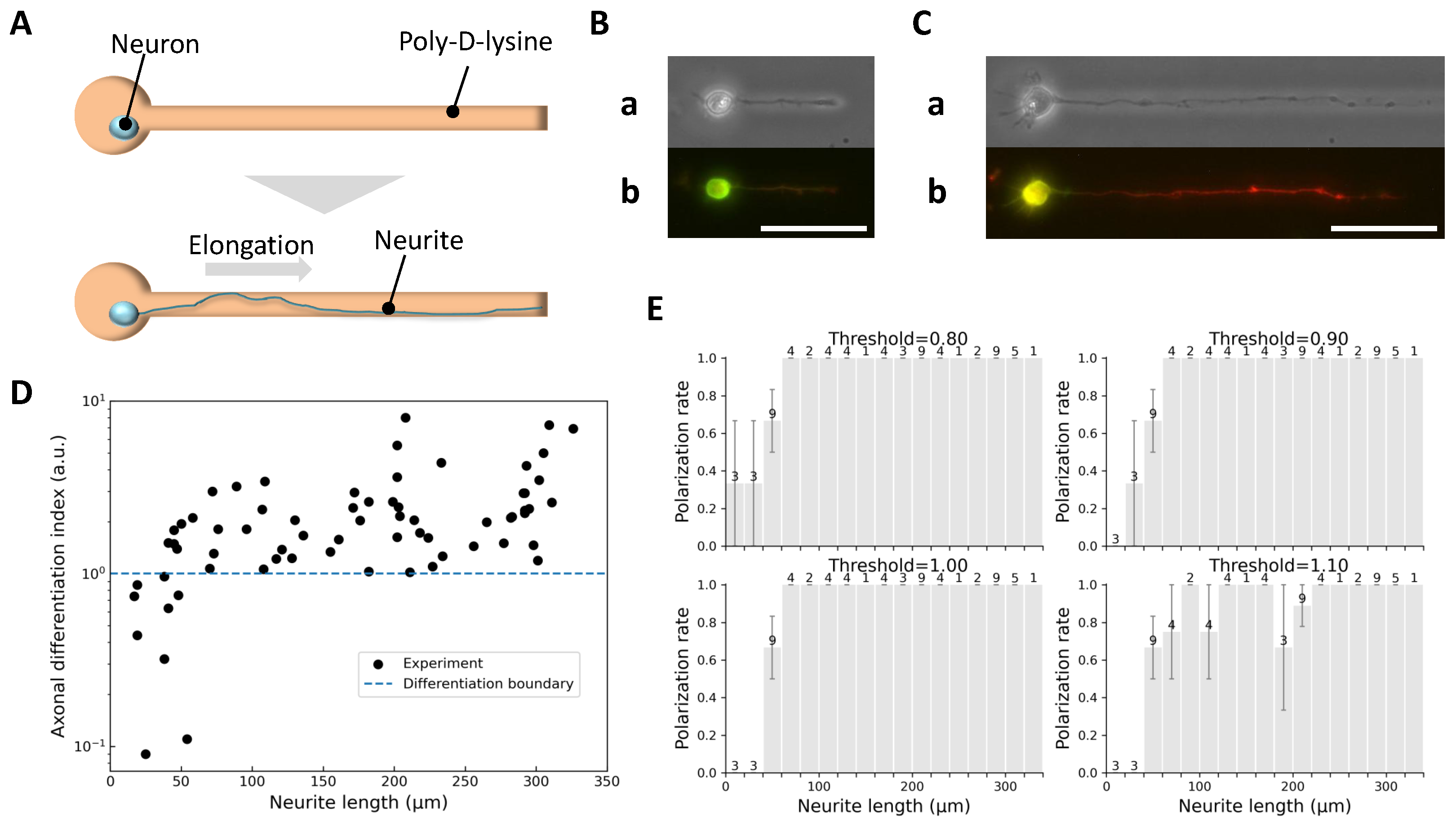 Gels 11 00668 g002 Gels 11 00668 g002