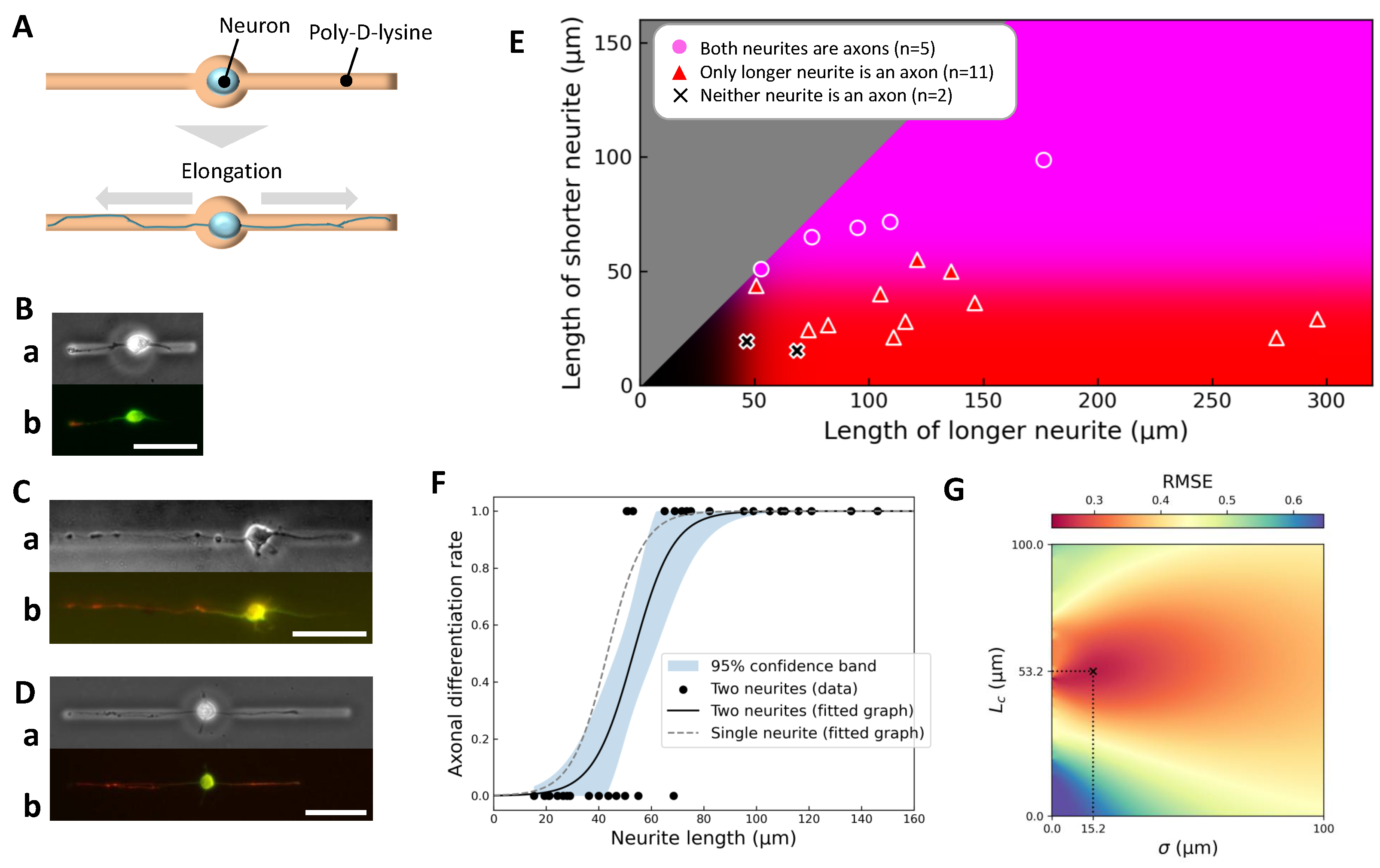 Gels 11 00668 g004 Gels 11 00668 g004