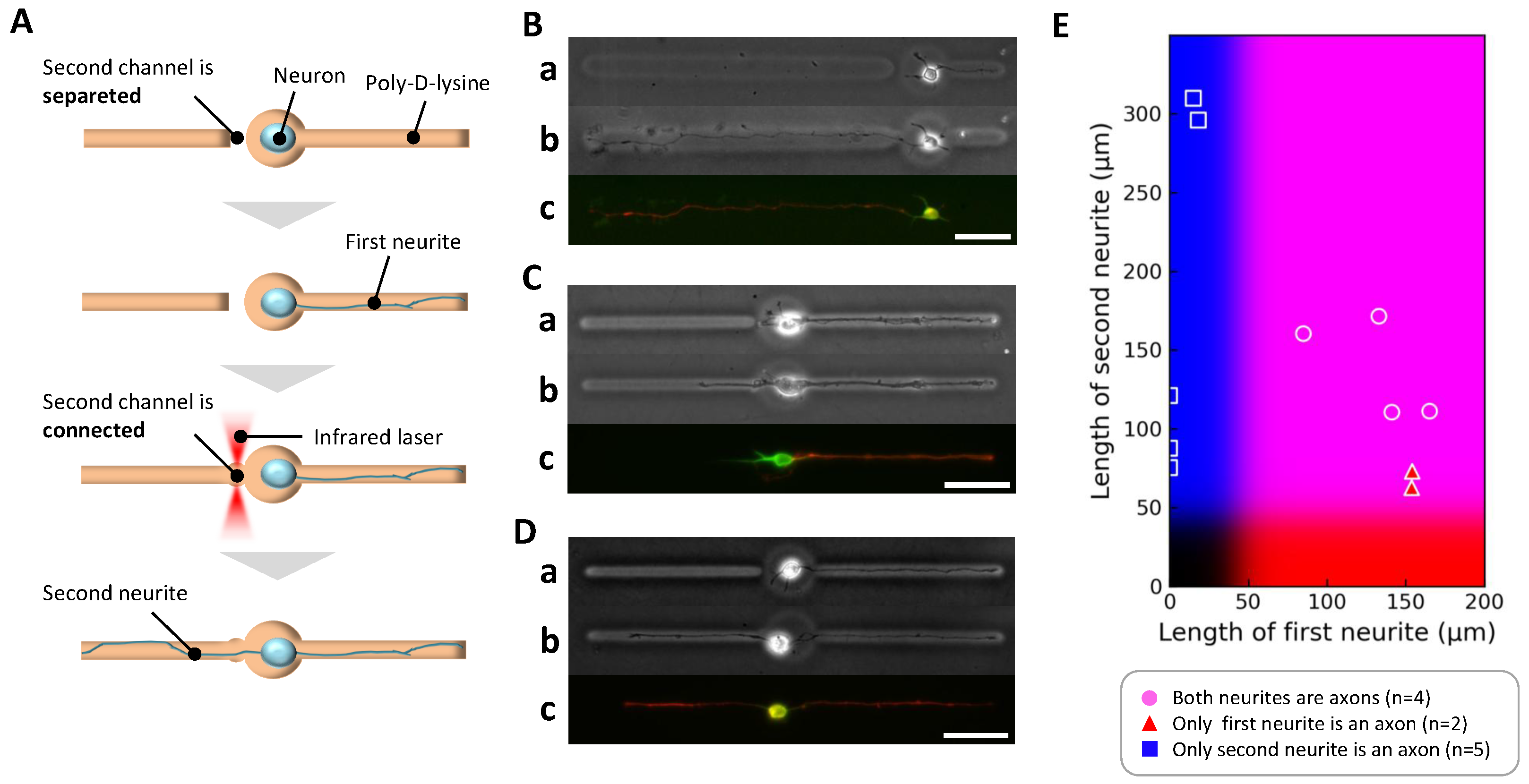 Gels 11 00668 g005 Gels 11 00668 g005