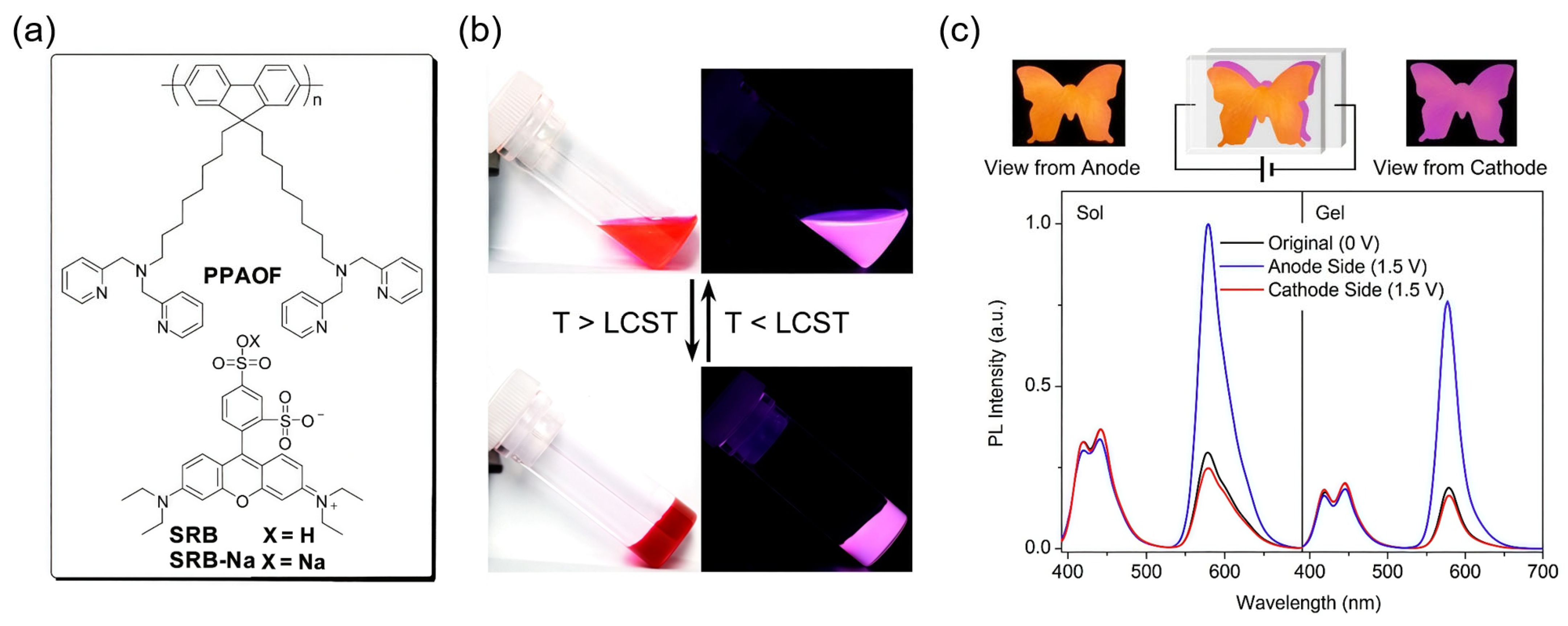 Gels 11 00673 g011 Gels 11 00673 g011