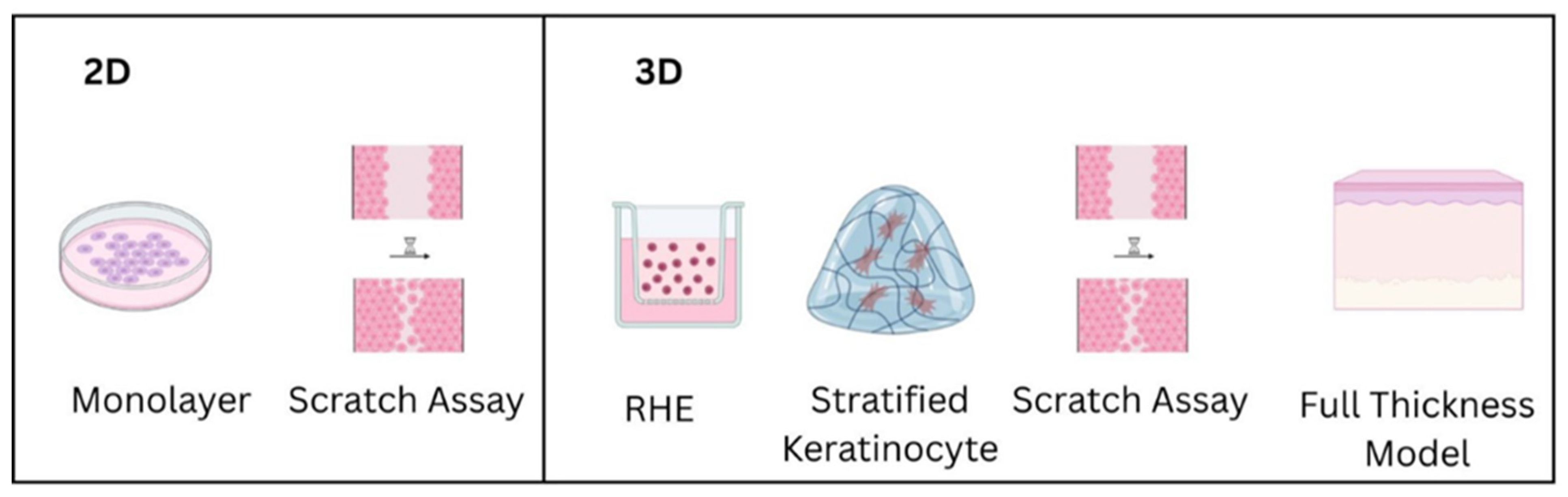 Gels 11 00705 g001 Gels 11 00705 g001