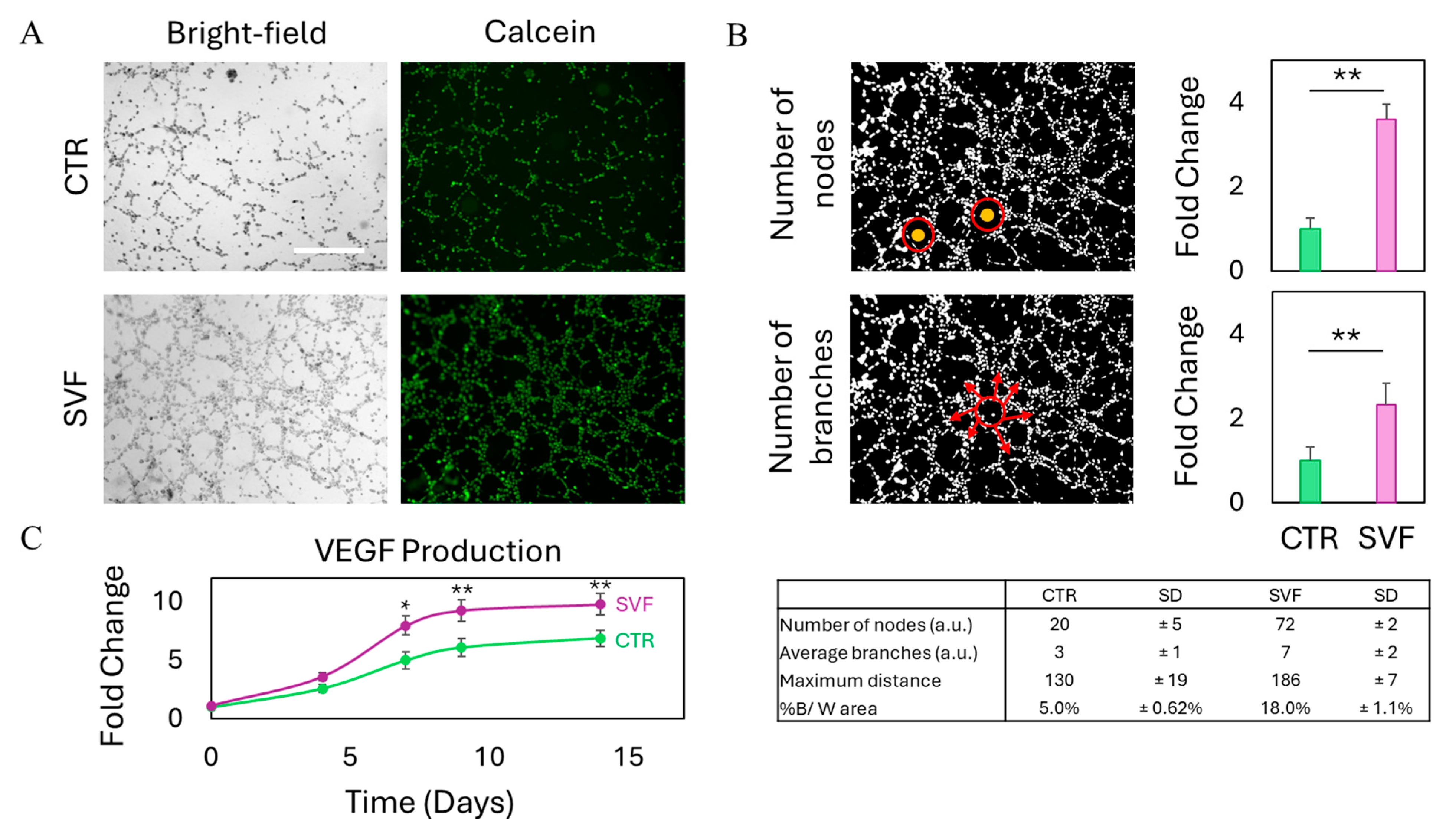 Gels 11 00712 g006 Gels 11 00712 g006