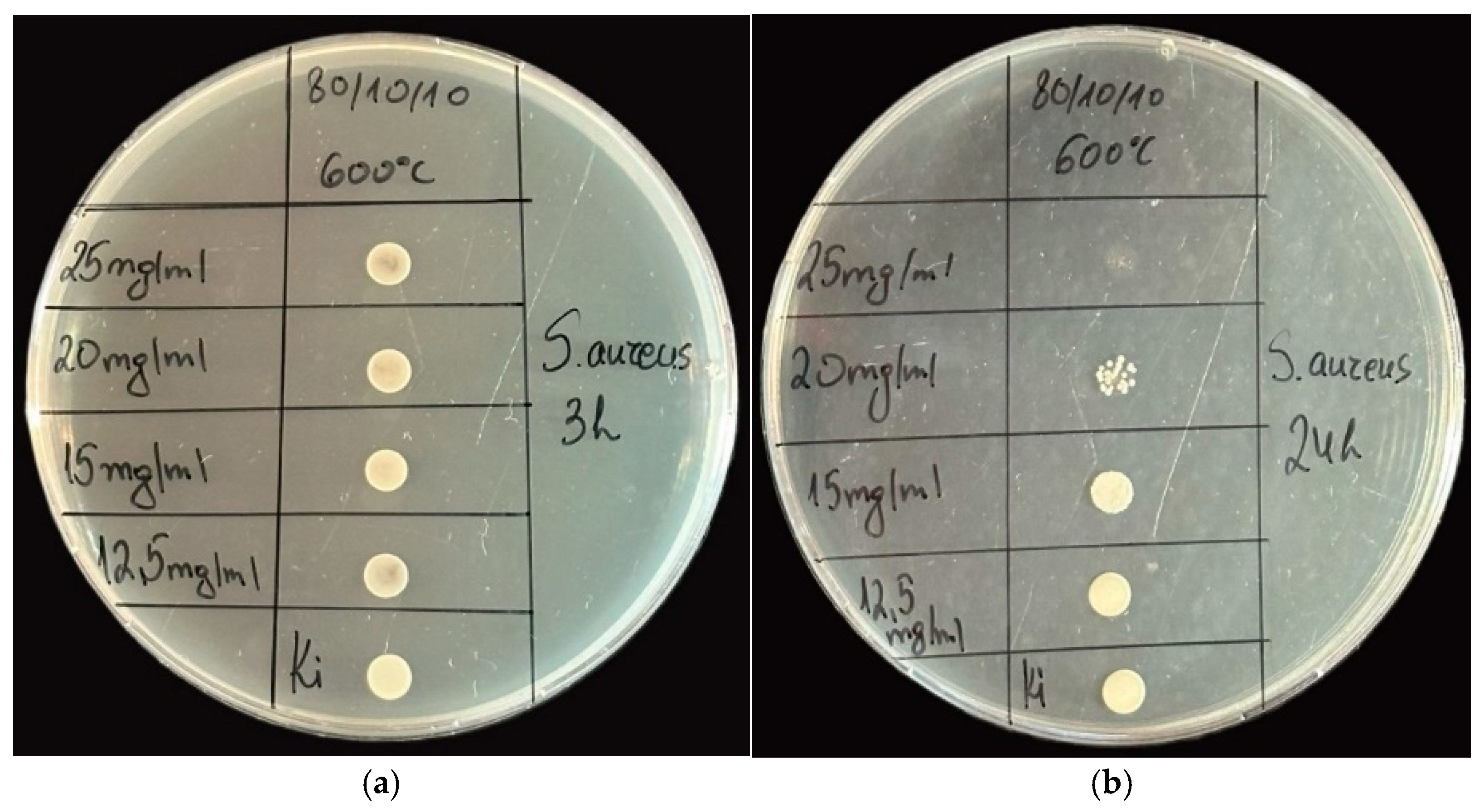 Gels 11 00716 g007 Gels 11 00716 g007