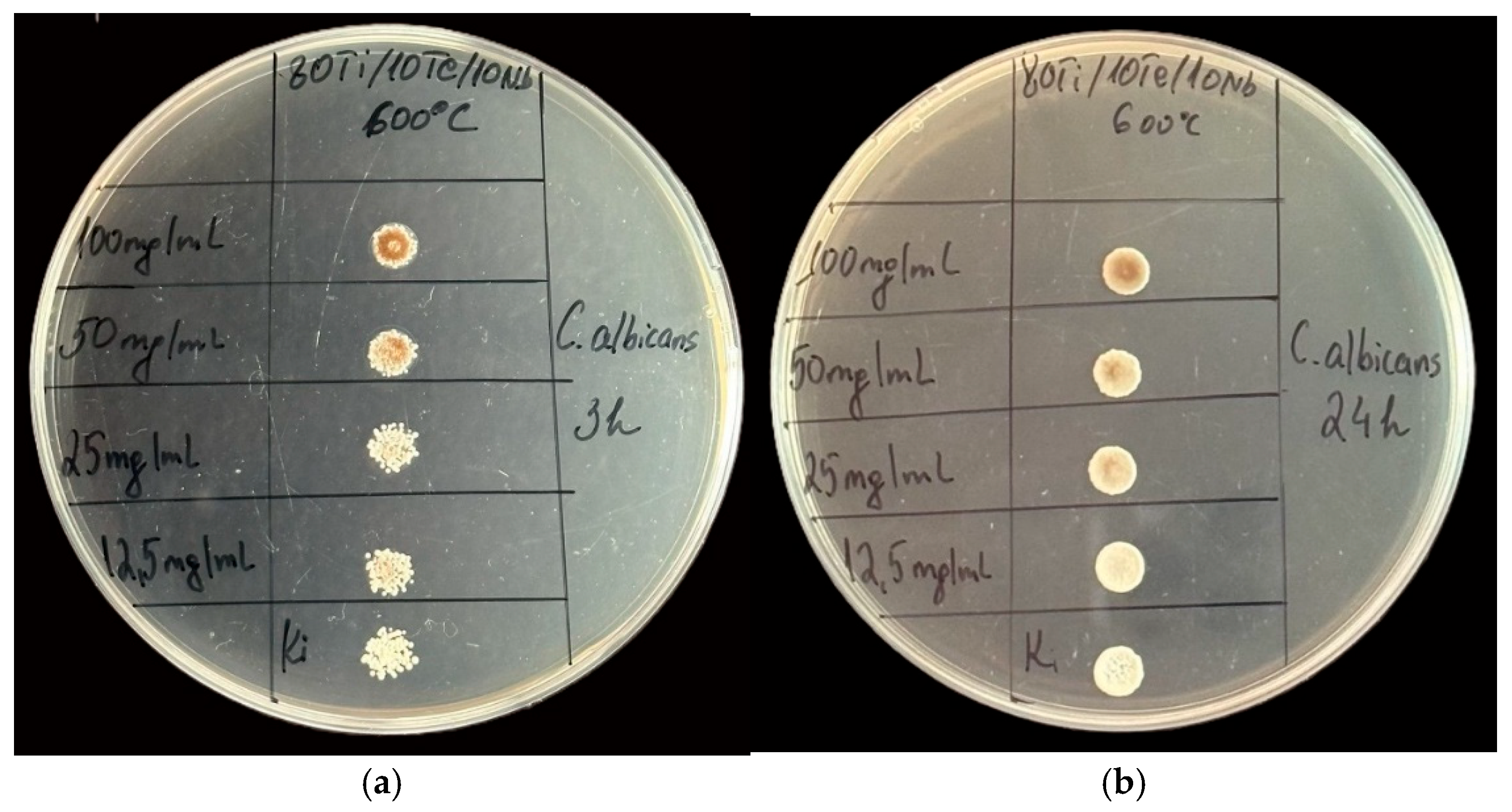 Gels 11 00716 g011 Gels 11 00716 g011