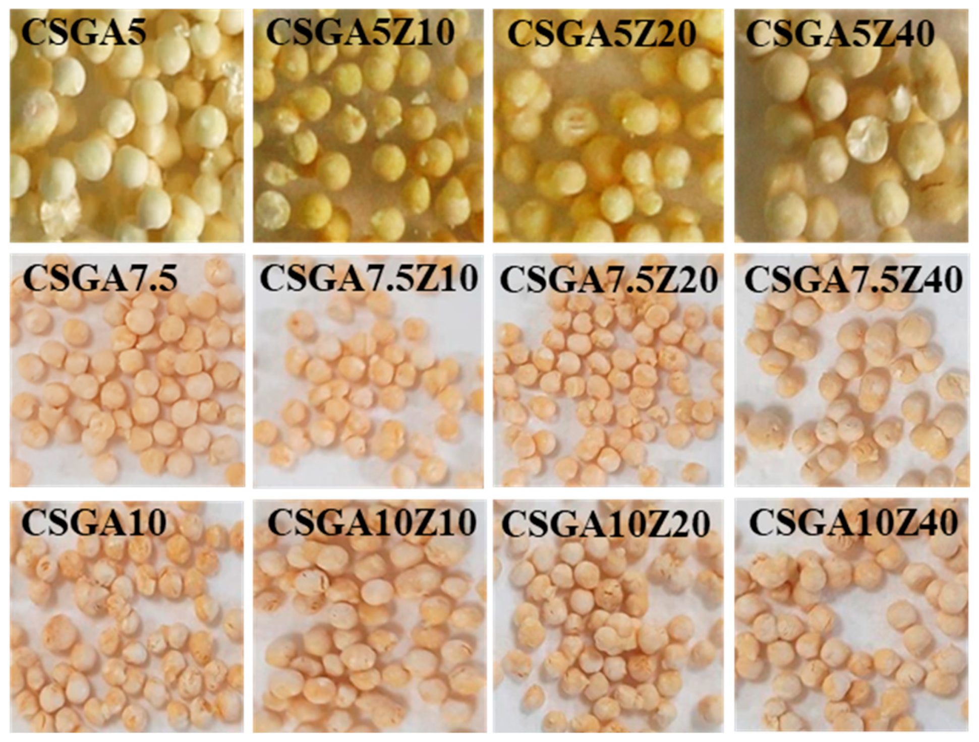 Gels 11 00729 g001 Gels 11 00729 g001