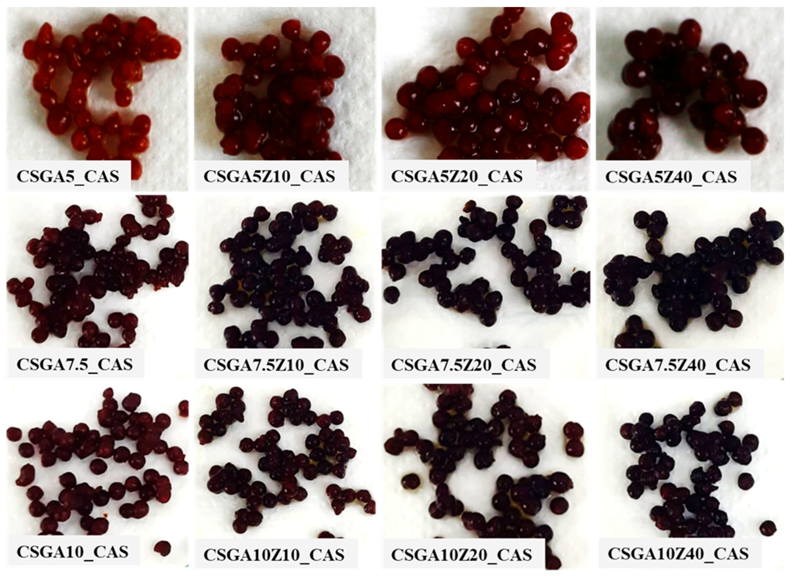 Gels 11 00729 g008 Gels 11 00729 g008