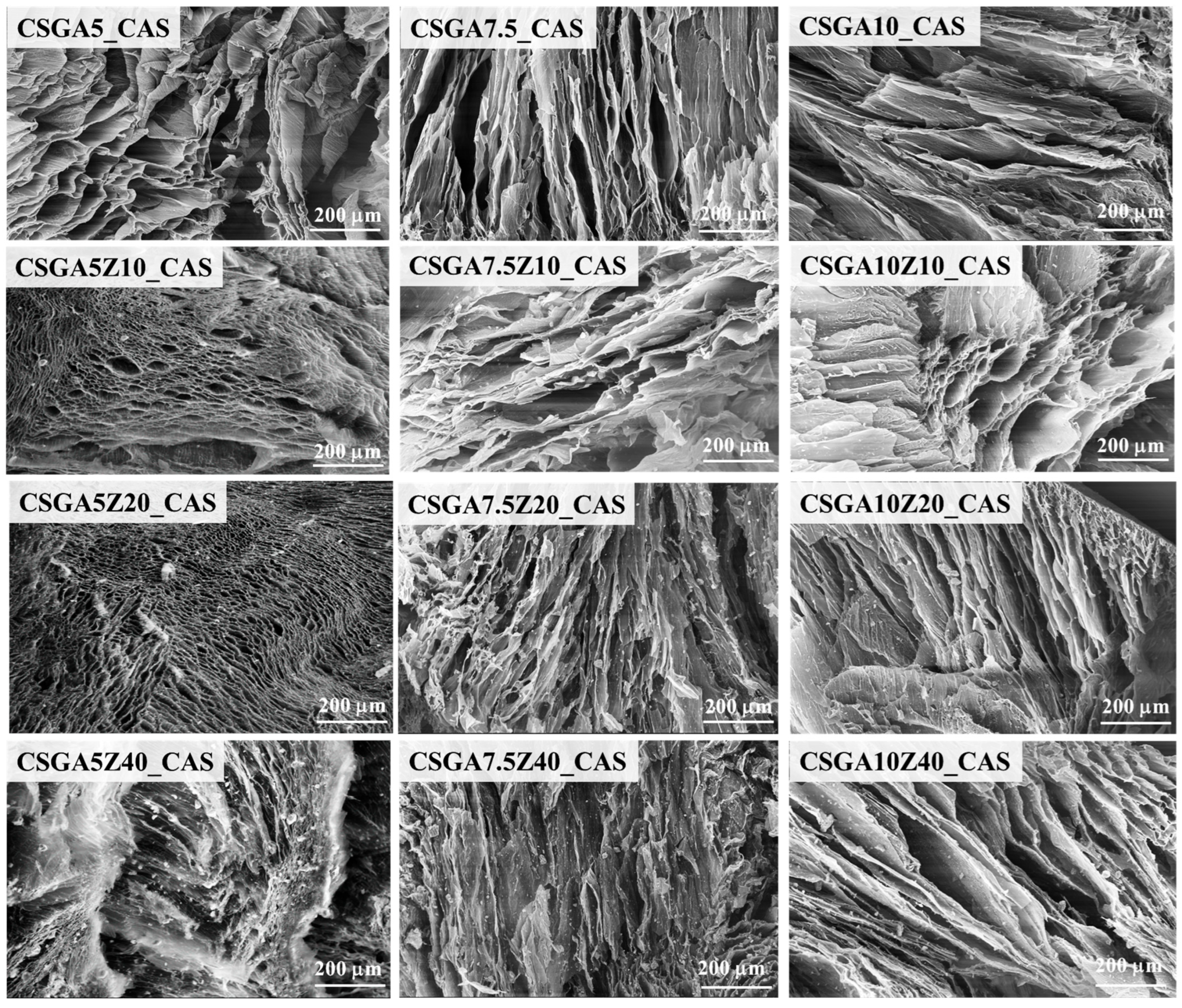 Gels 11 00729 g009 Gels 11 00729 g009