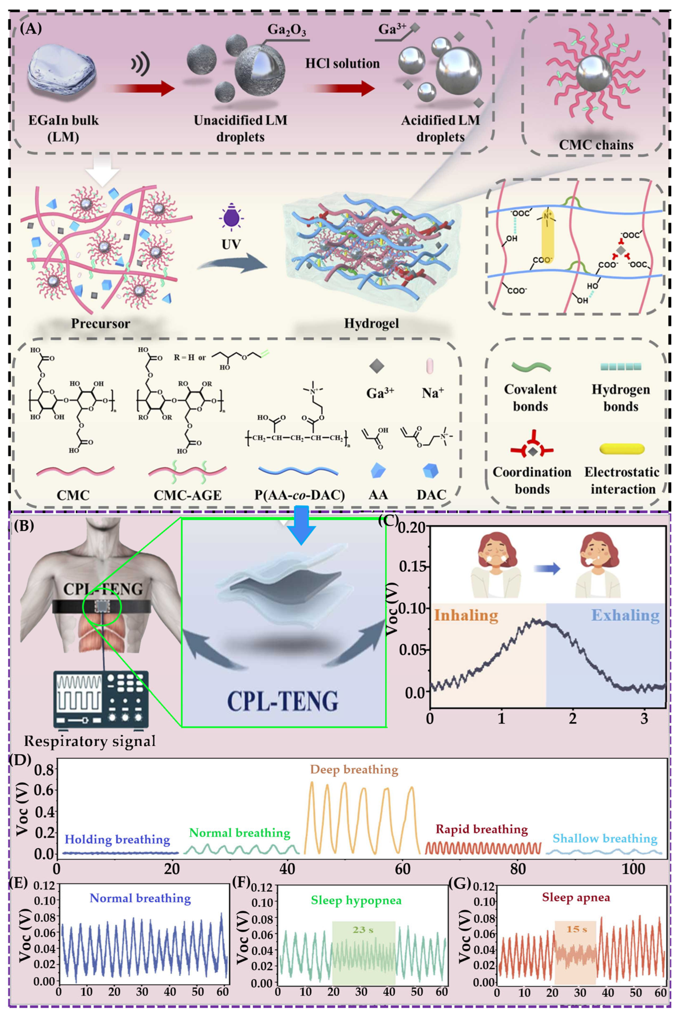 Gels 11 00737 g008 Gels 11 00737 g008