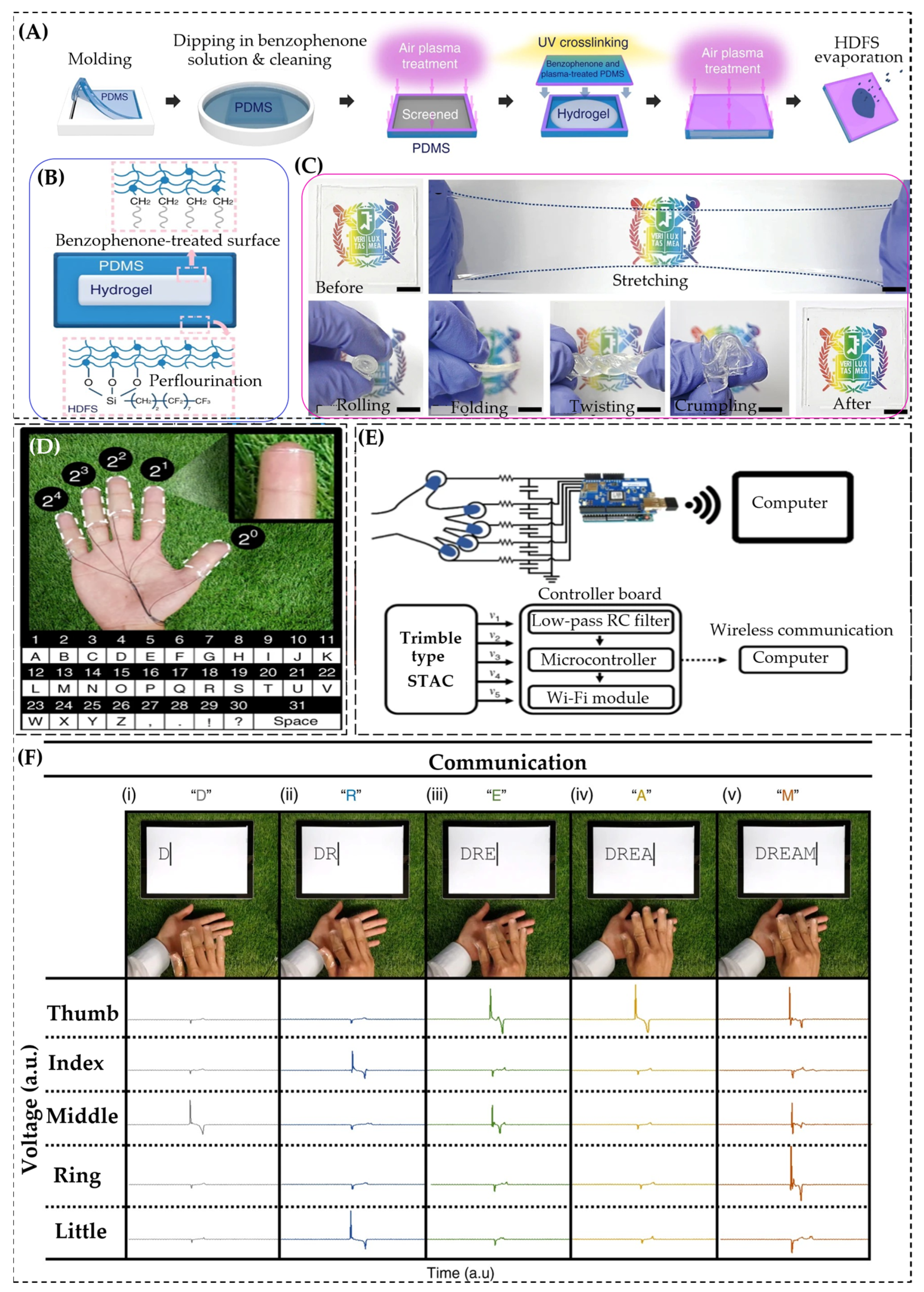 Gels 11 00737 g015 Gels 11 00737 g015